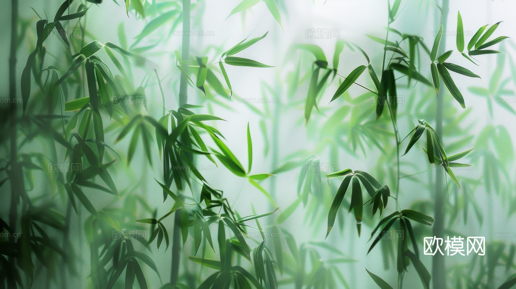 中式竹子竹林壁纸壁画