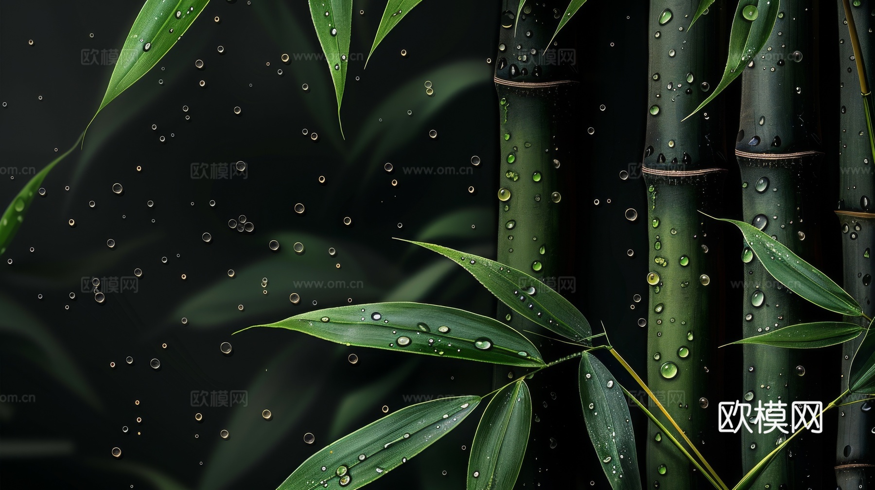 中式竹子竹林壁纸壁画