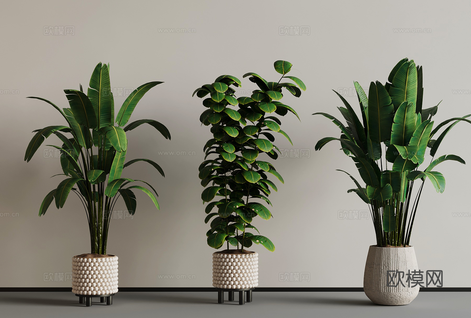 绿植 盆栽3d模型