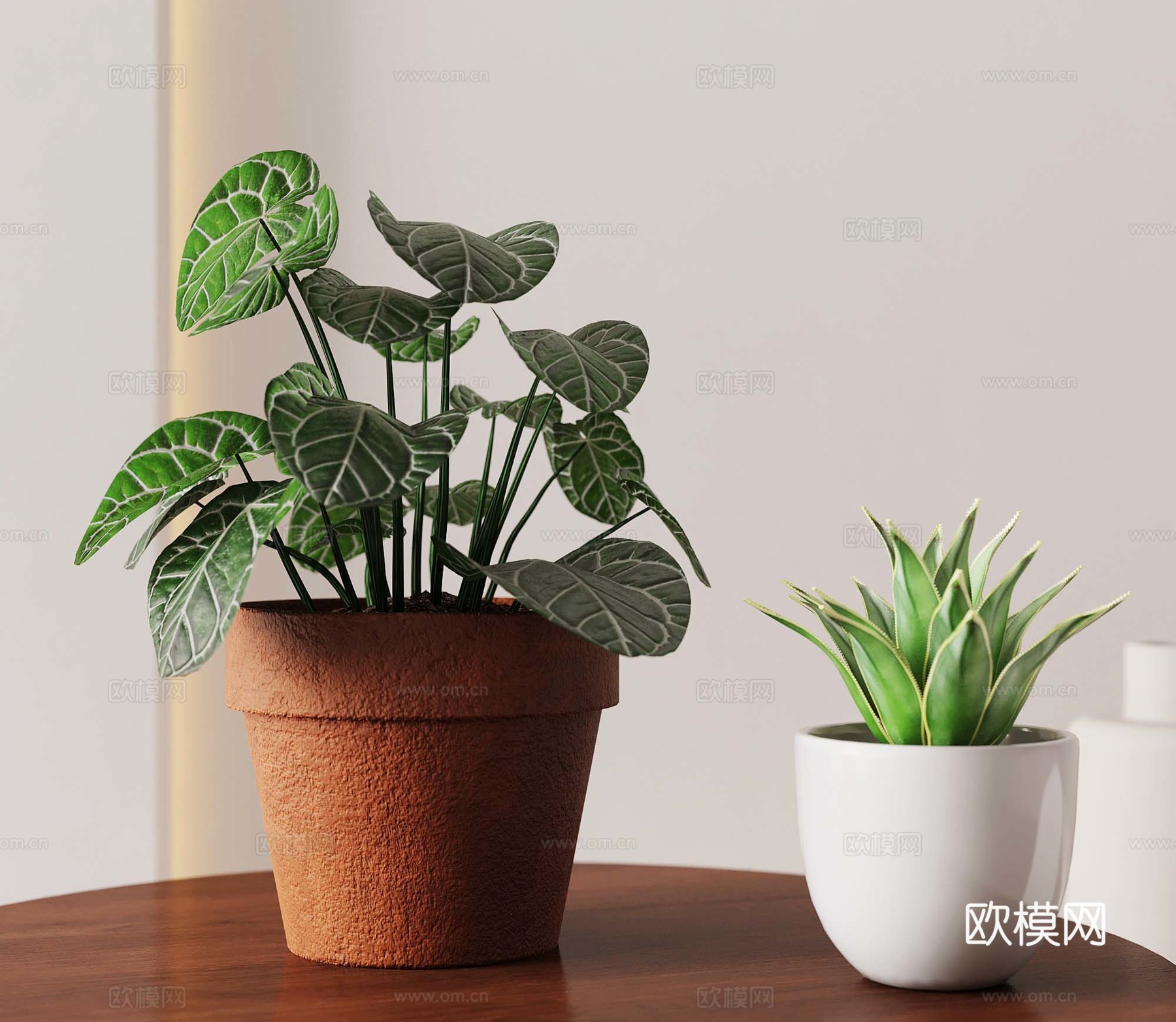 现代桌面盆栽 龟背竹su模型