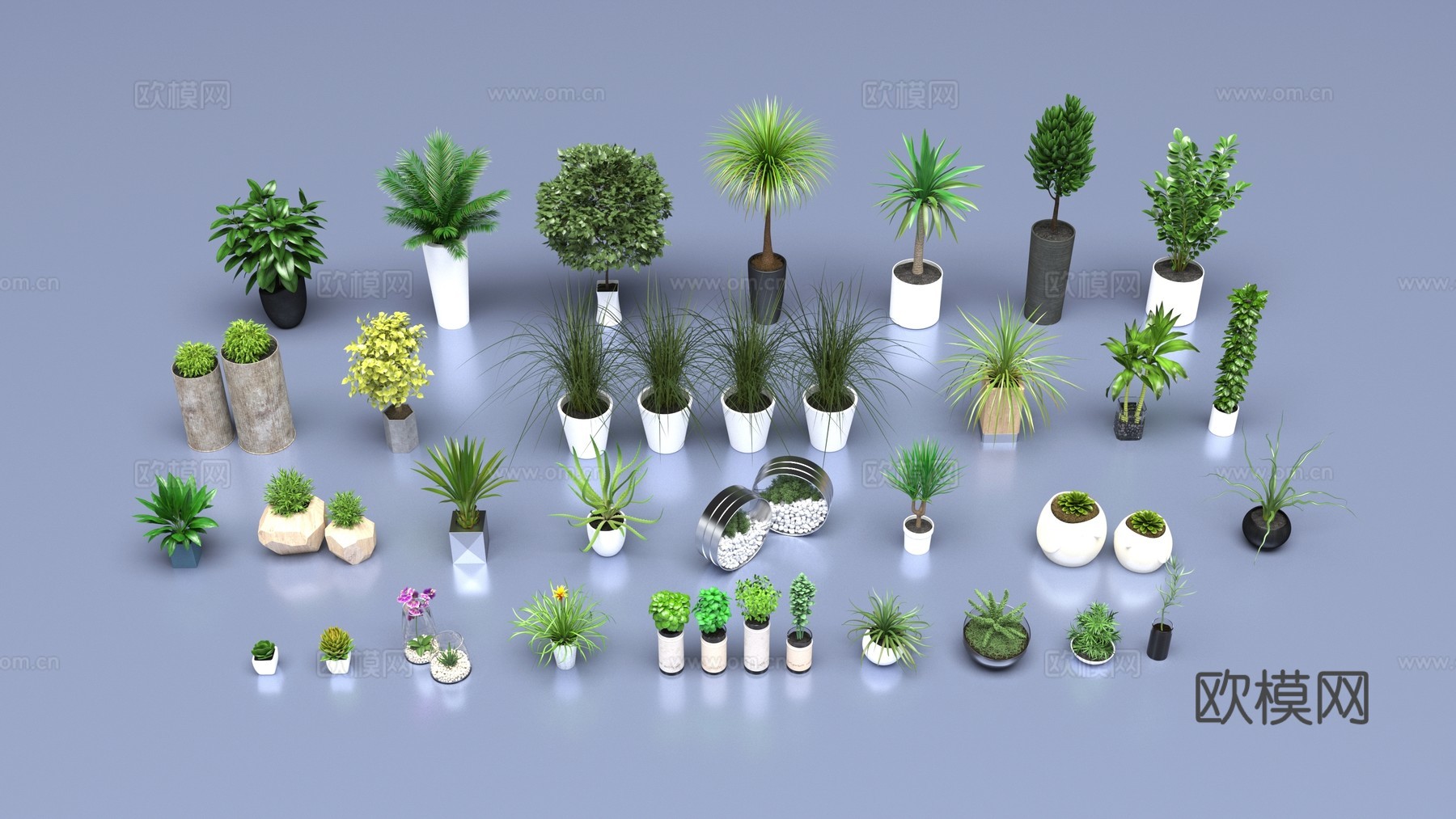 室内盆栽植物3d模型