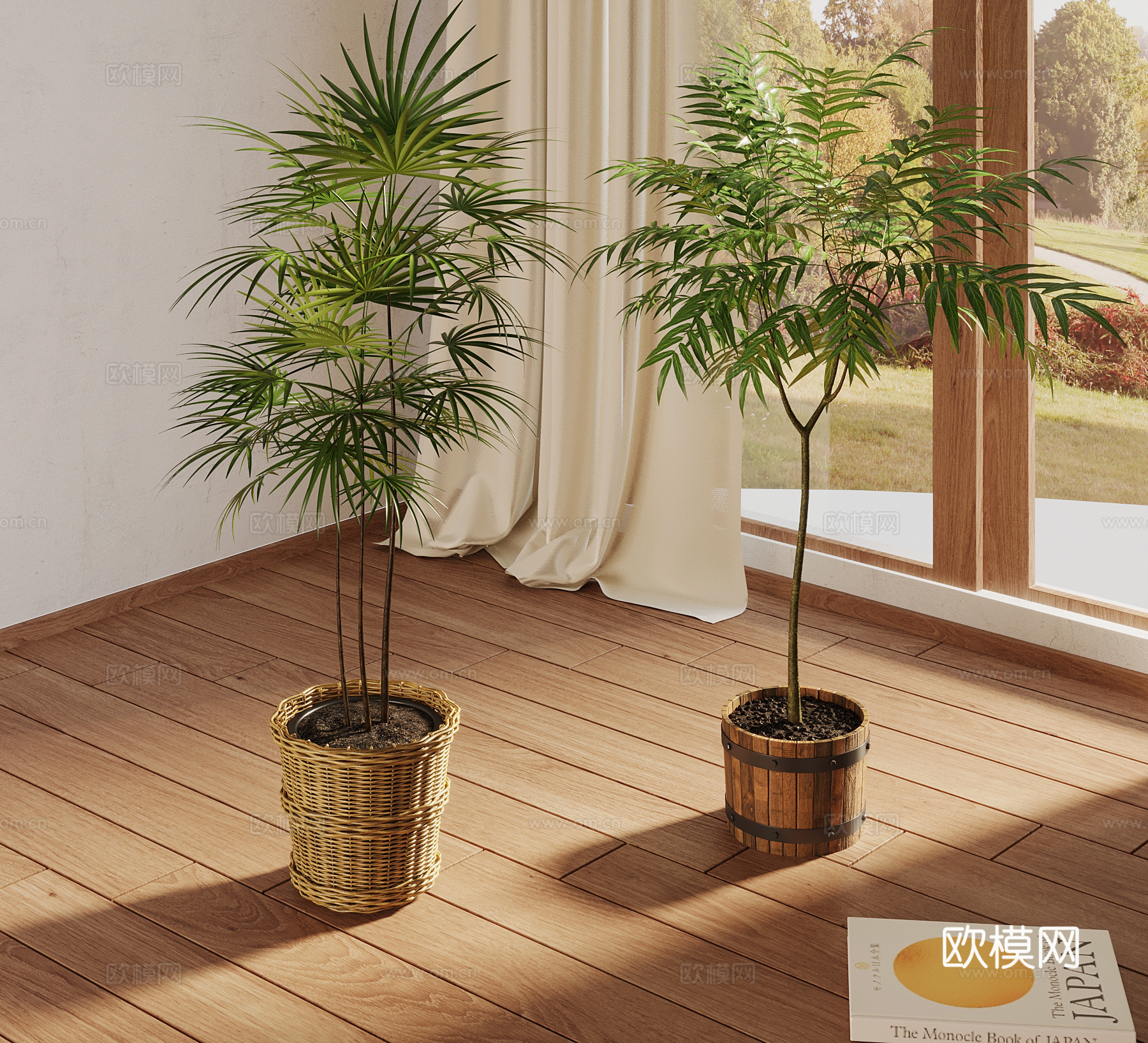 盆栽 现代植物盆栽3d模型