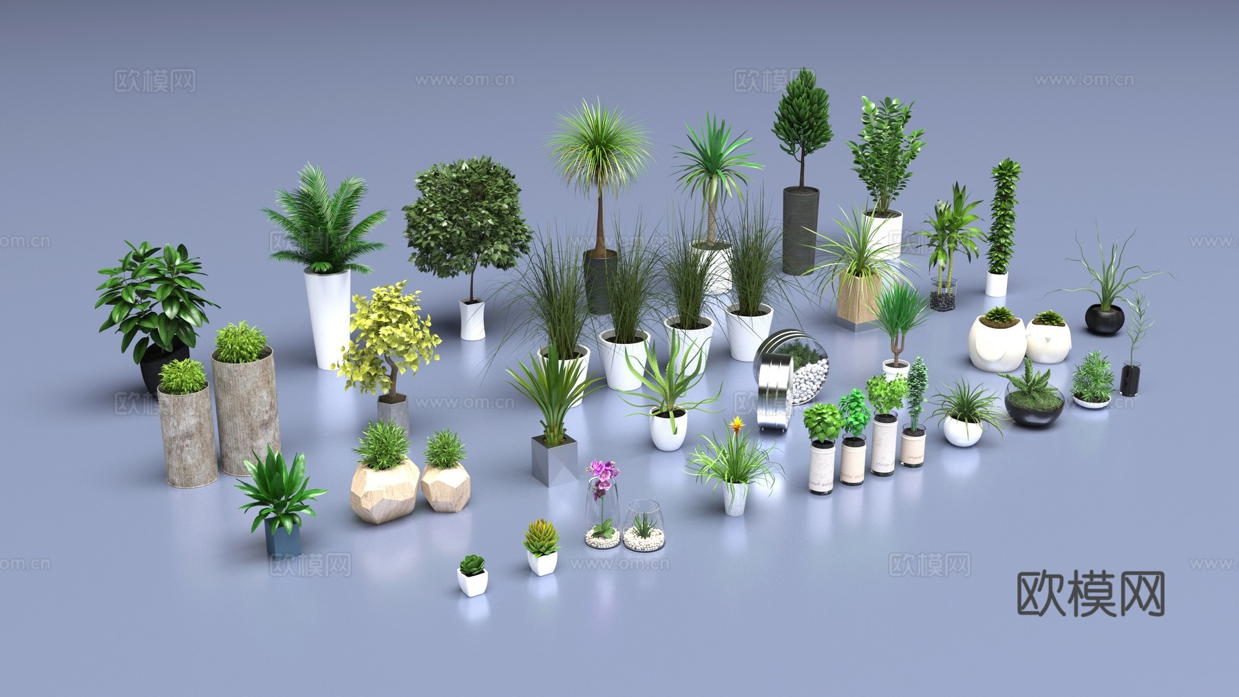 室内盆栽植物3d模型