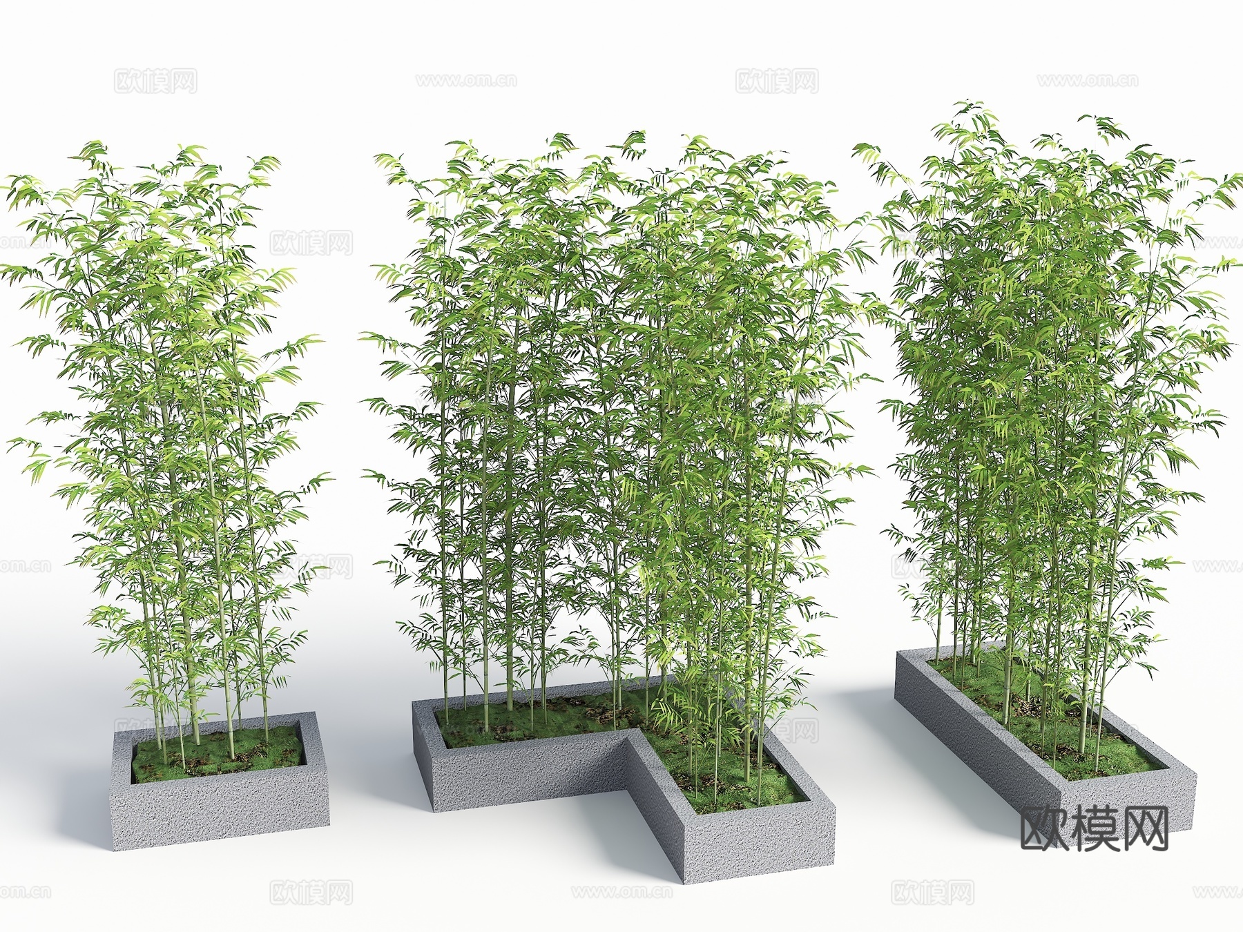 现代竹子 竹子盆栽 景观竹 园艺竹子 中式竹子景观 竹子小品3d模型