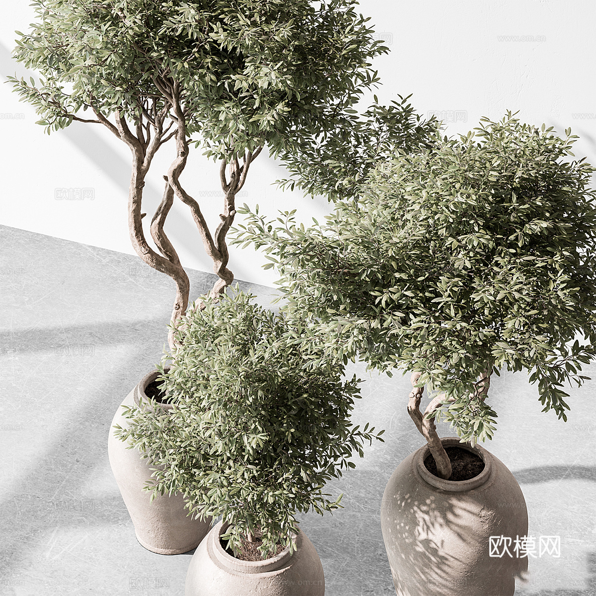 新中式侘寂绿植盆栽3d模型下载（渲染图4）