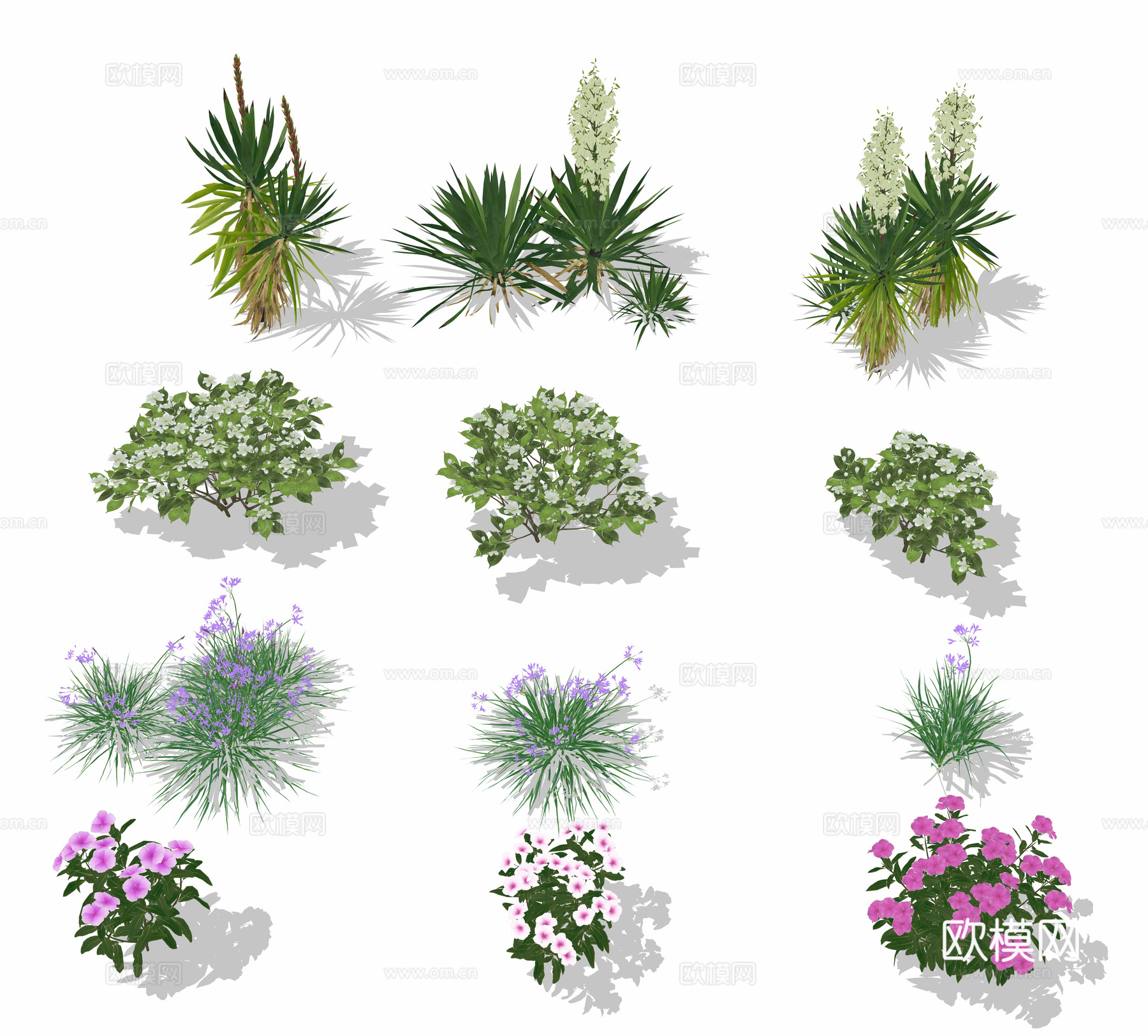 花草 花丛草丛 花卉 花镜su模型