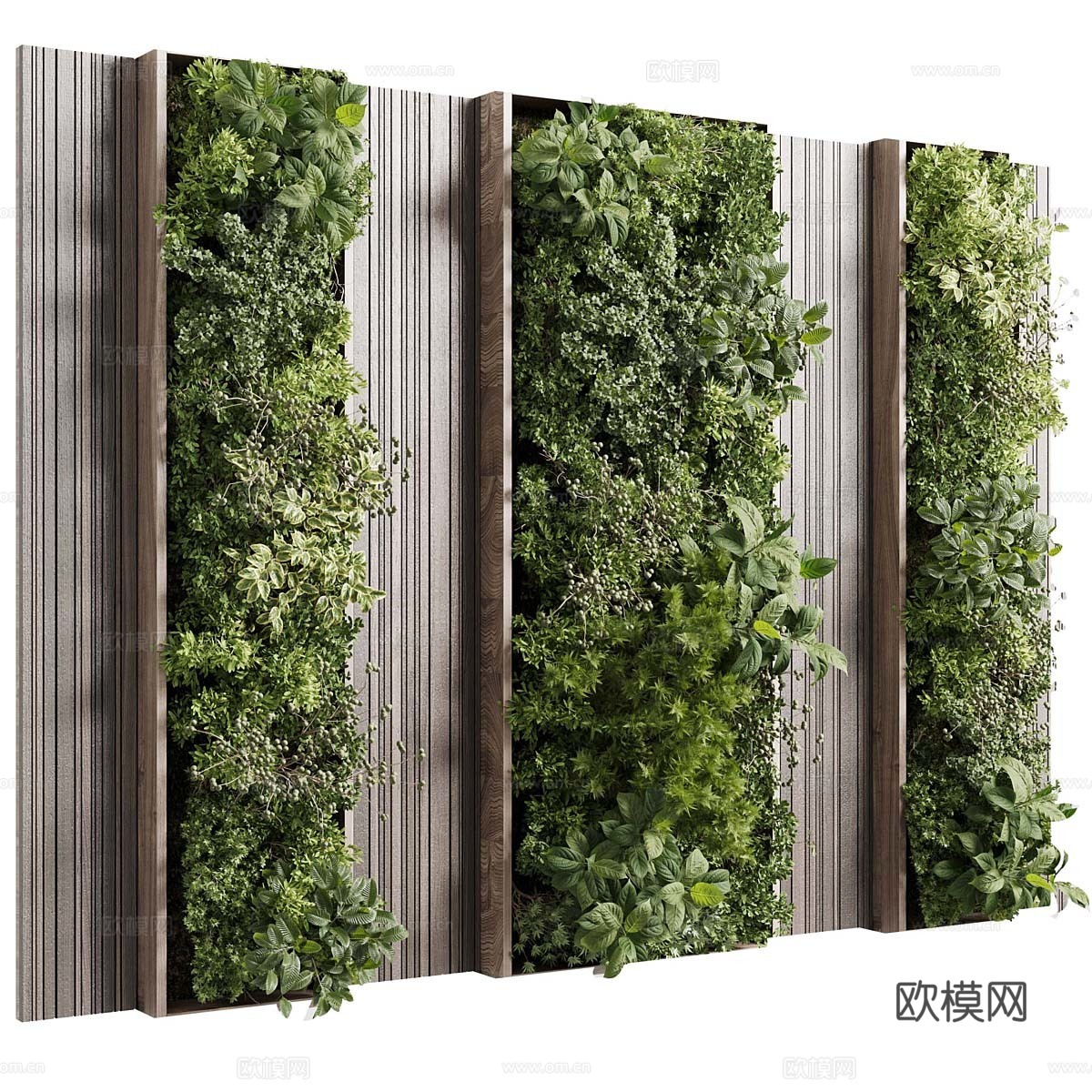 现代意式绿植墙3d模型