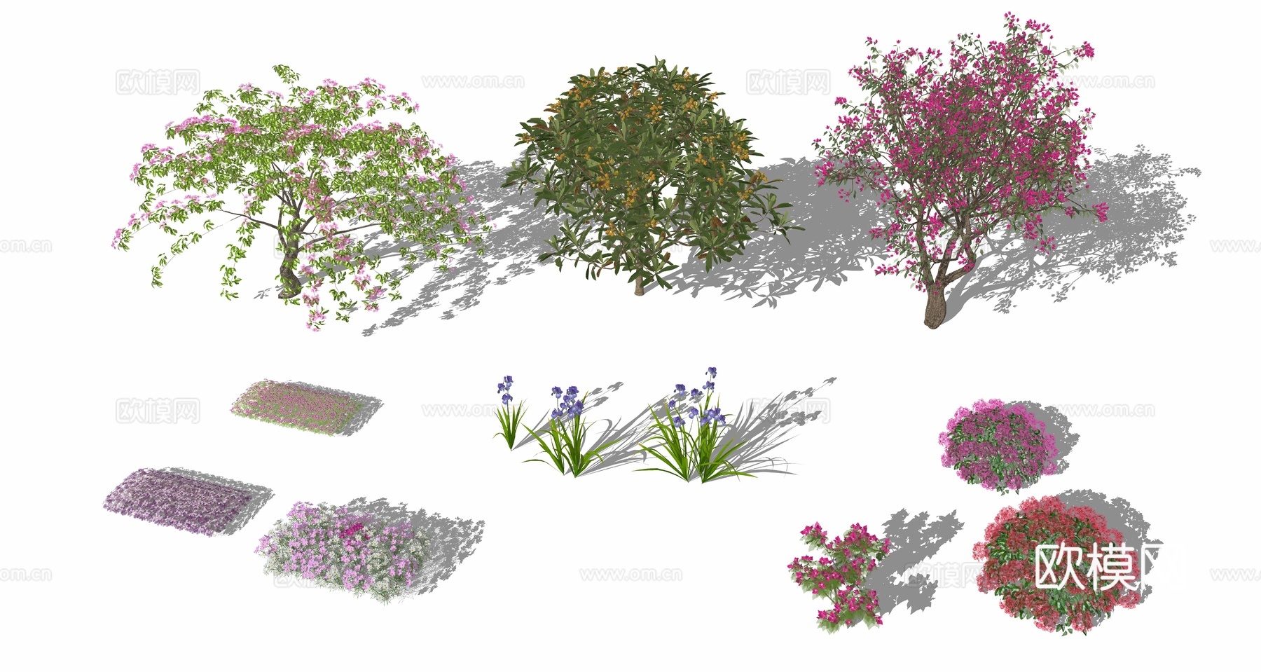 行道树 景观树 树木绿植su模型