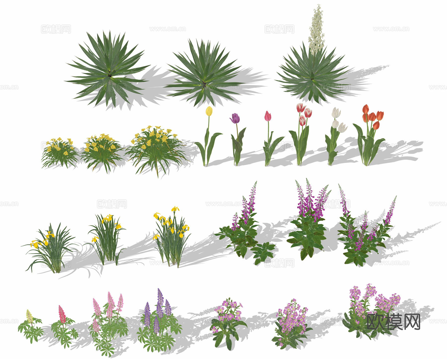 花丛花卉 花草 花镜su模型