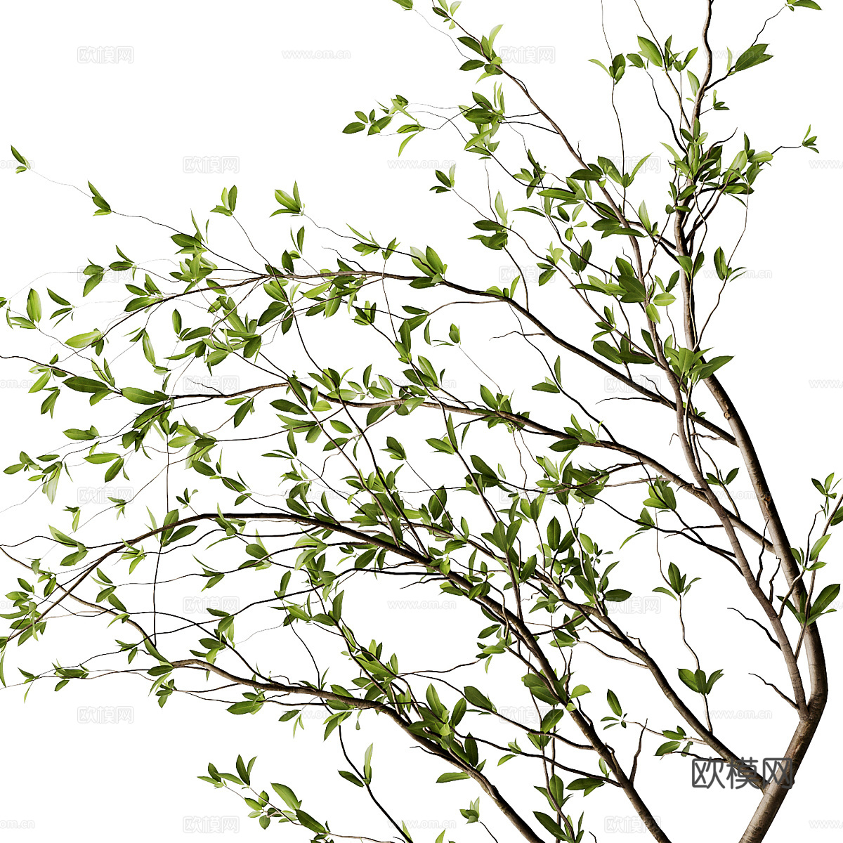 新中式侘寂花瓶花艺3d模型
