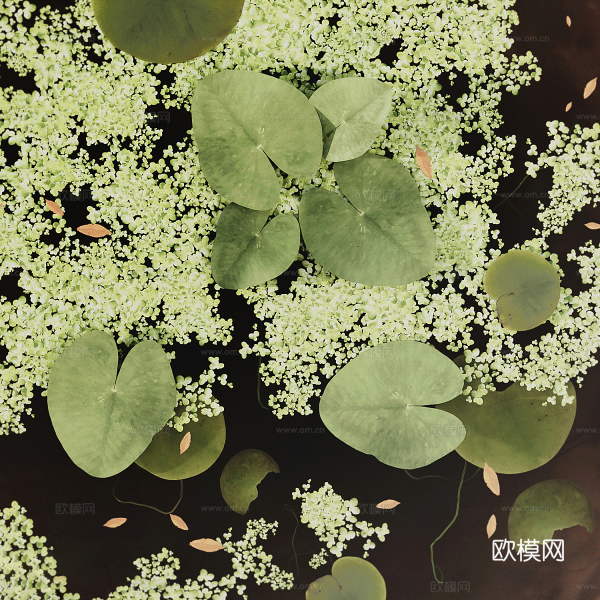 新中式花园池塘 花池 睡莲 浮萍3d模型