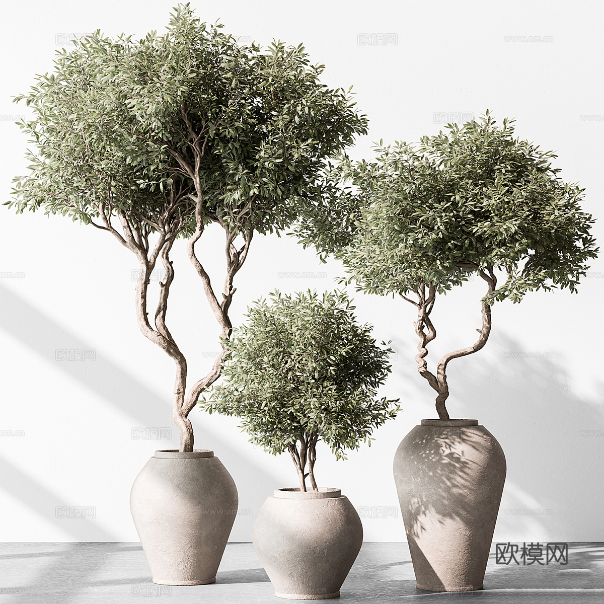 新中式侘寂绿植盆栽3d模型下载（渲染图1）
