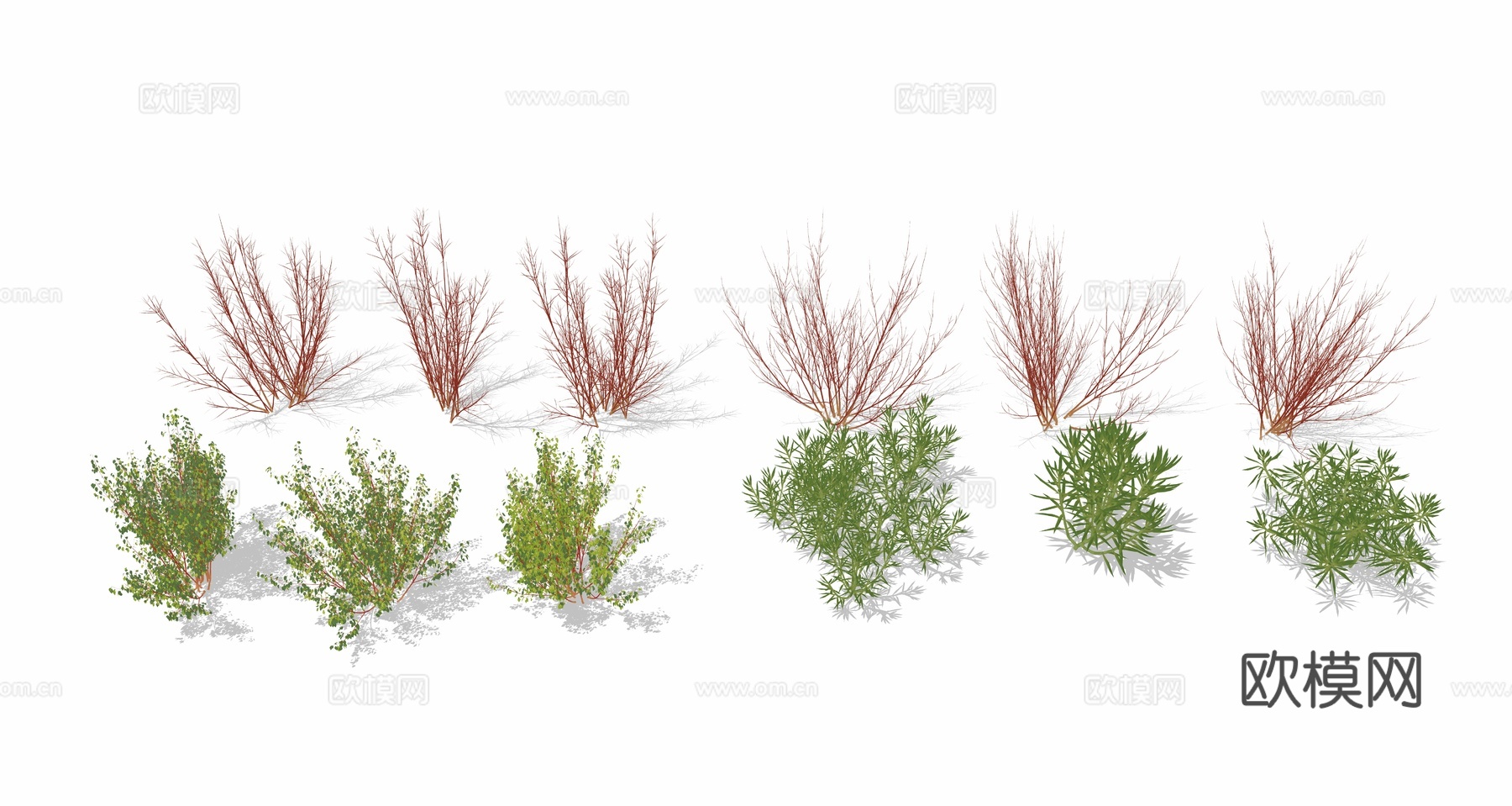 红瑞木 花草 草丛 绿植su模型