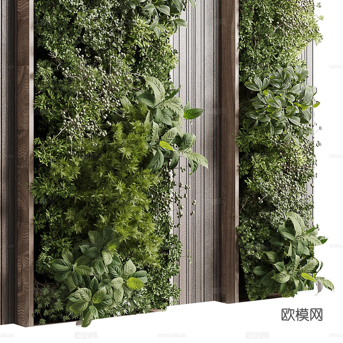 现代意式绿植墙3d模型