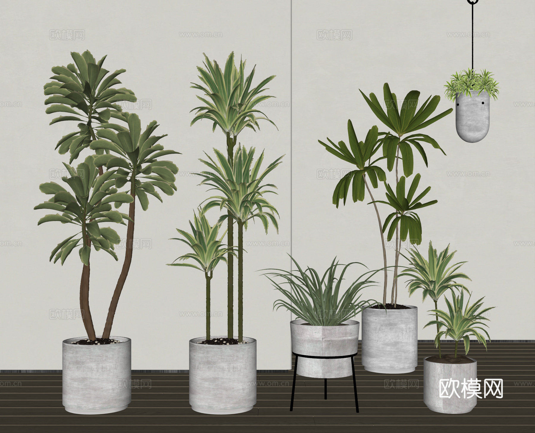 现代  盆栽 植物 绿植 盆景 吊篮su模型