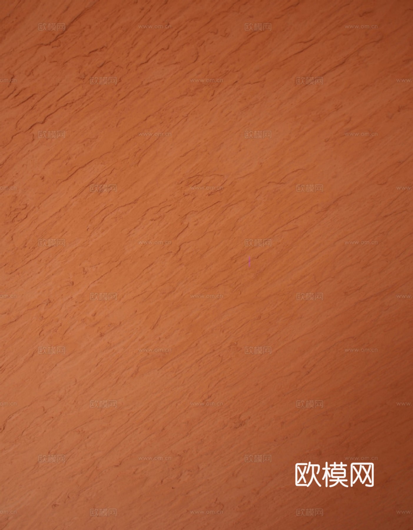 现代硅藻泥