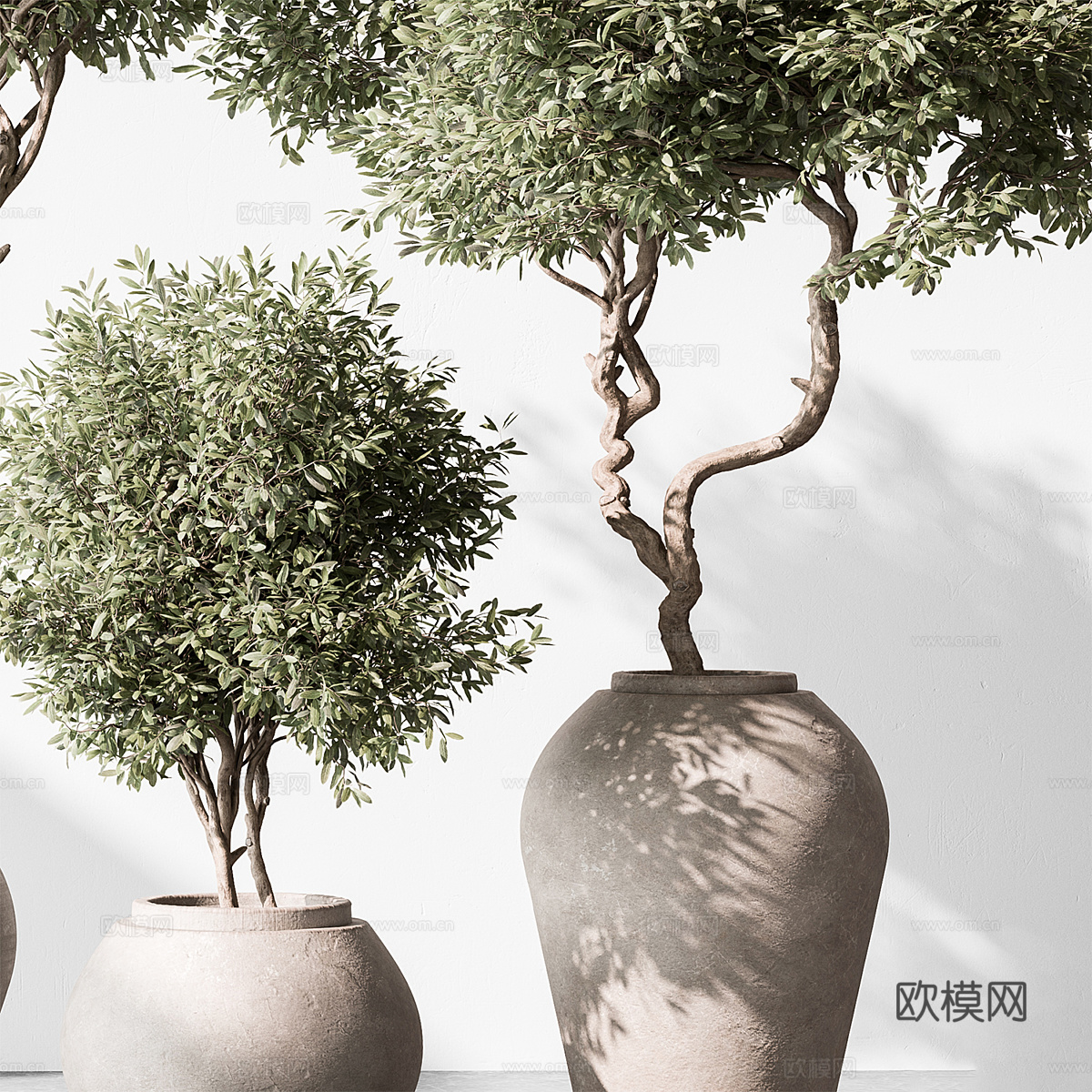 新中式侘寂绿植盆栽3d模型下载（渲染图3）