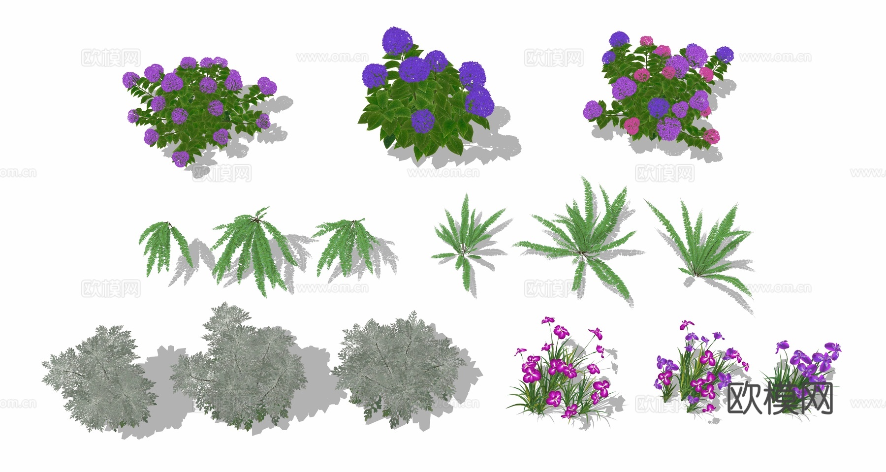 花草 花丛草丛 花卉 花镜 绣球su模型