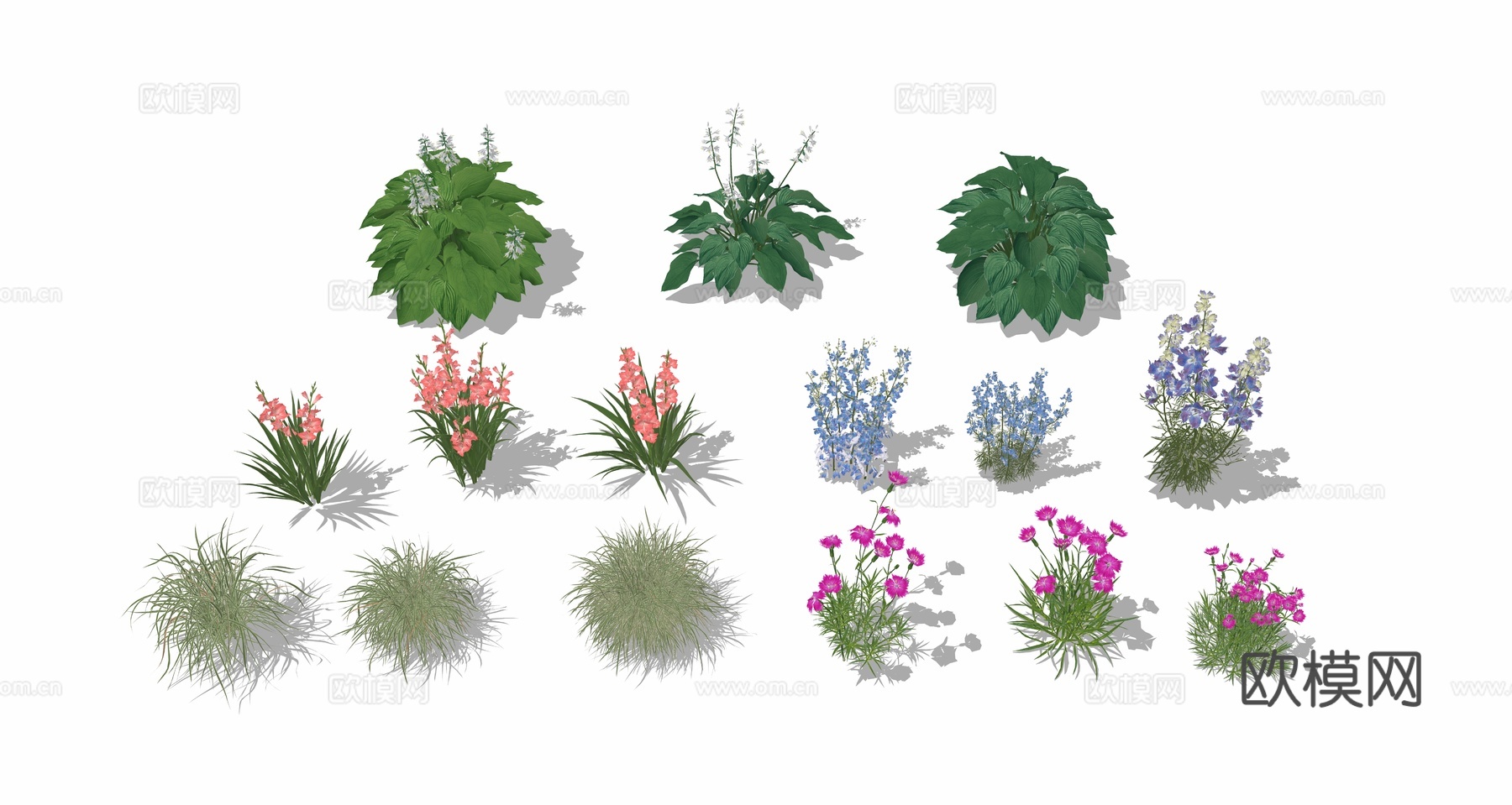 花草花卉 绿植 花镜su模型