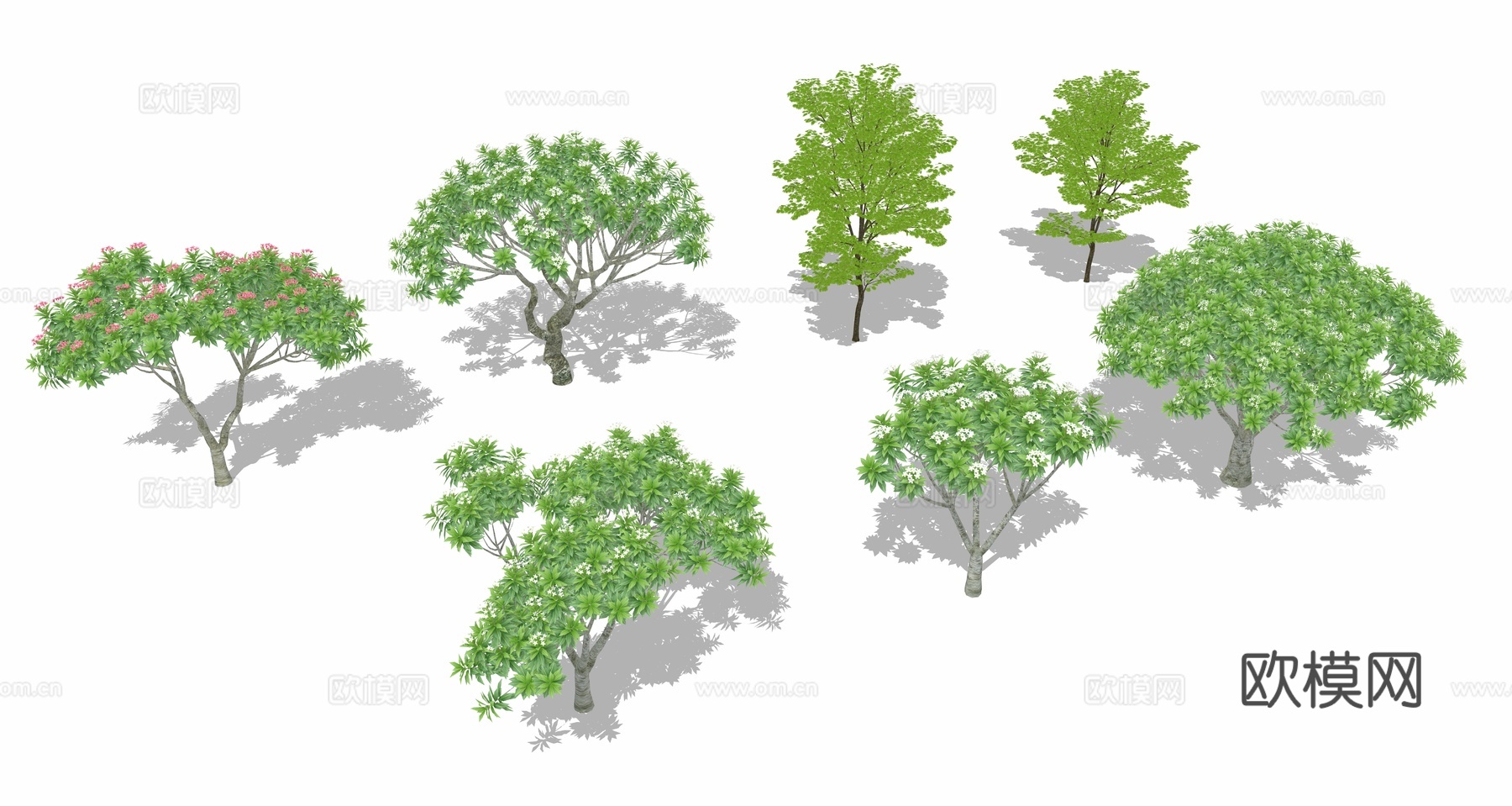 行道树 景观树 树木绿植su模型
