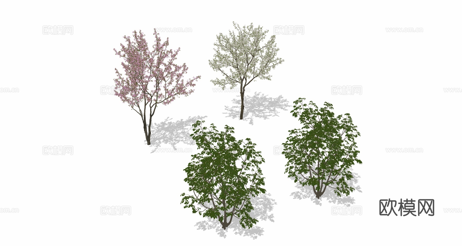 行道树 景观树 树木绿植su模型