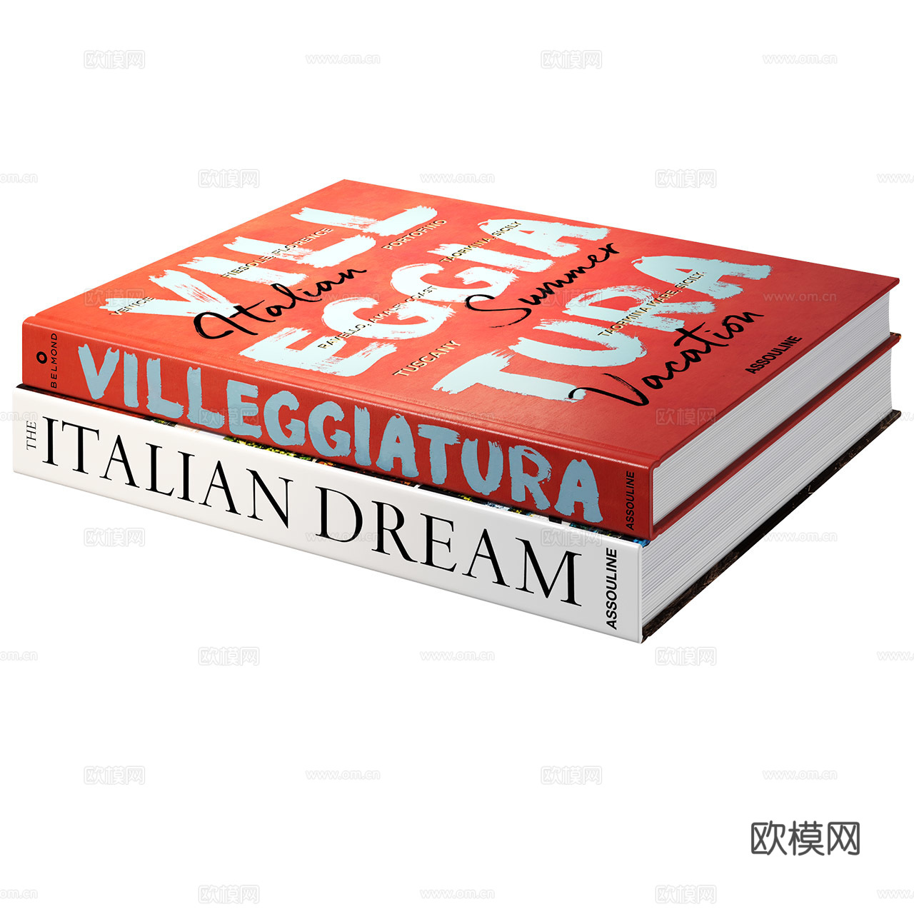 Assouline 现代书籍 书籍摆件 书 桌面摆件3d模型