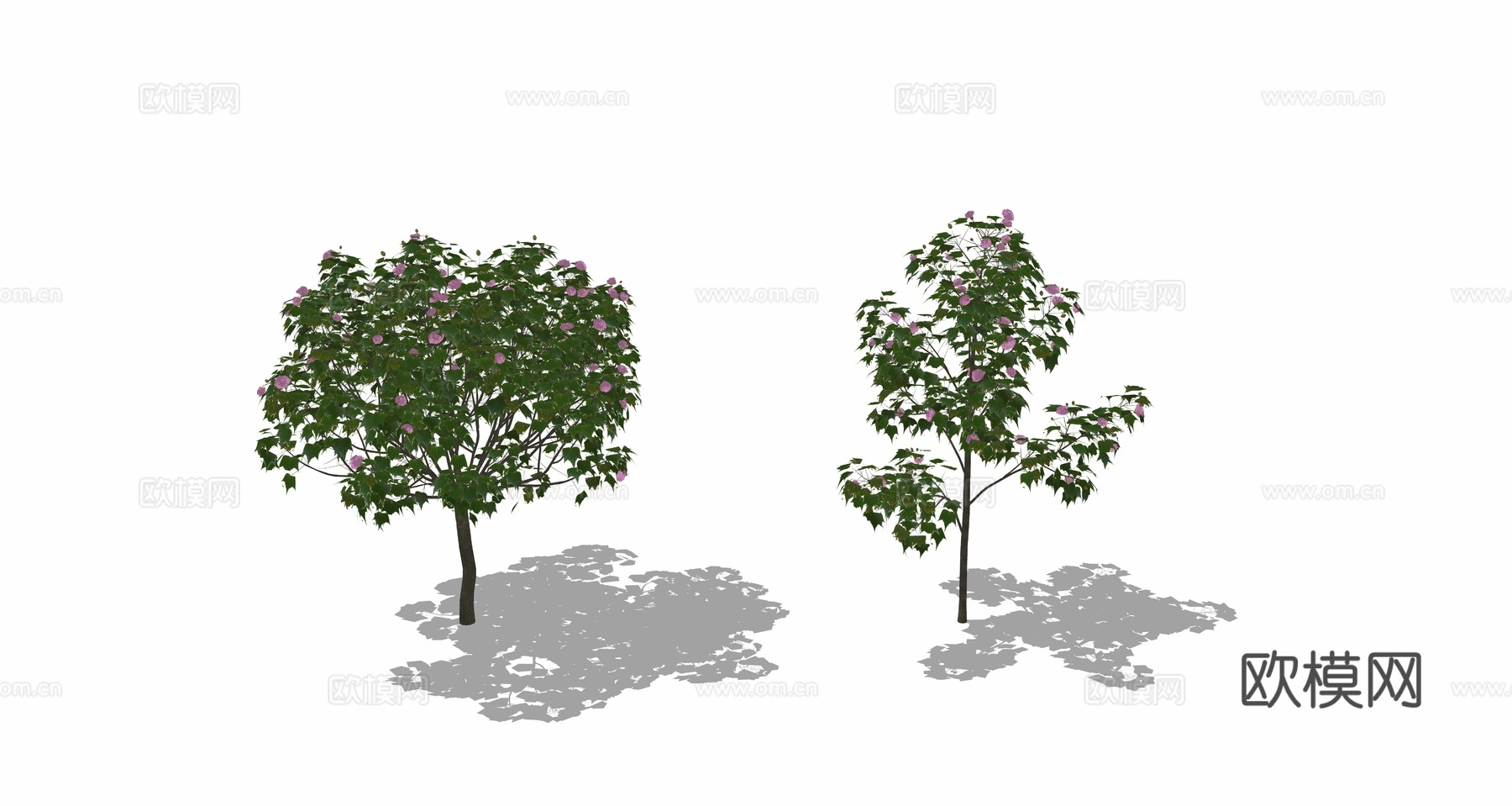 行道树 景观树 树木su模型
