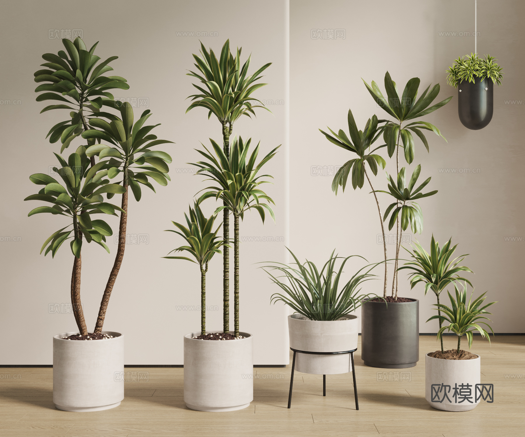 现代 北欧  盆栽 植物 绿植 盆景 吊篮3d模型