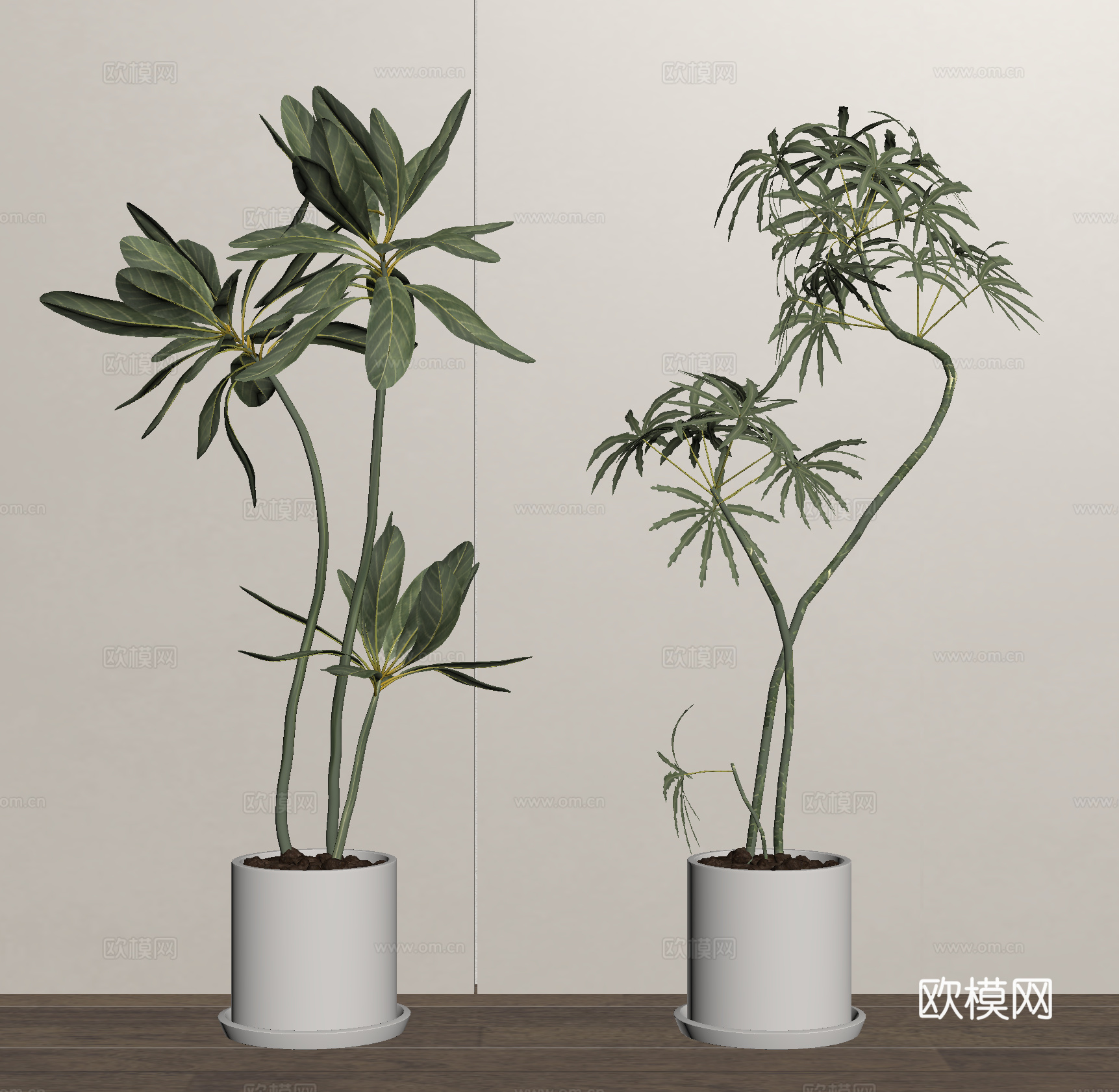 盆栽 绿植 盆景 植物su模型