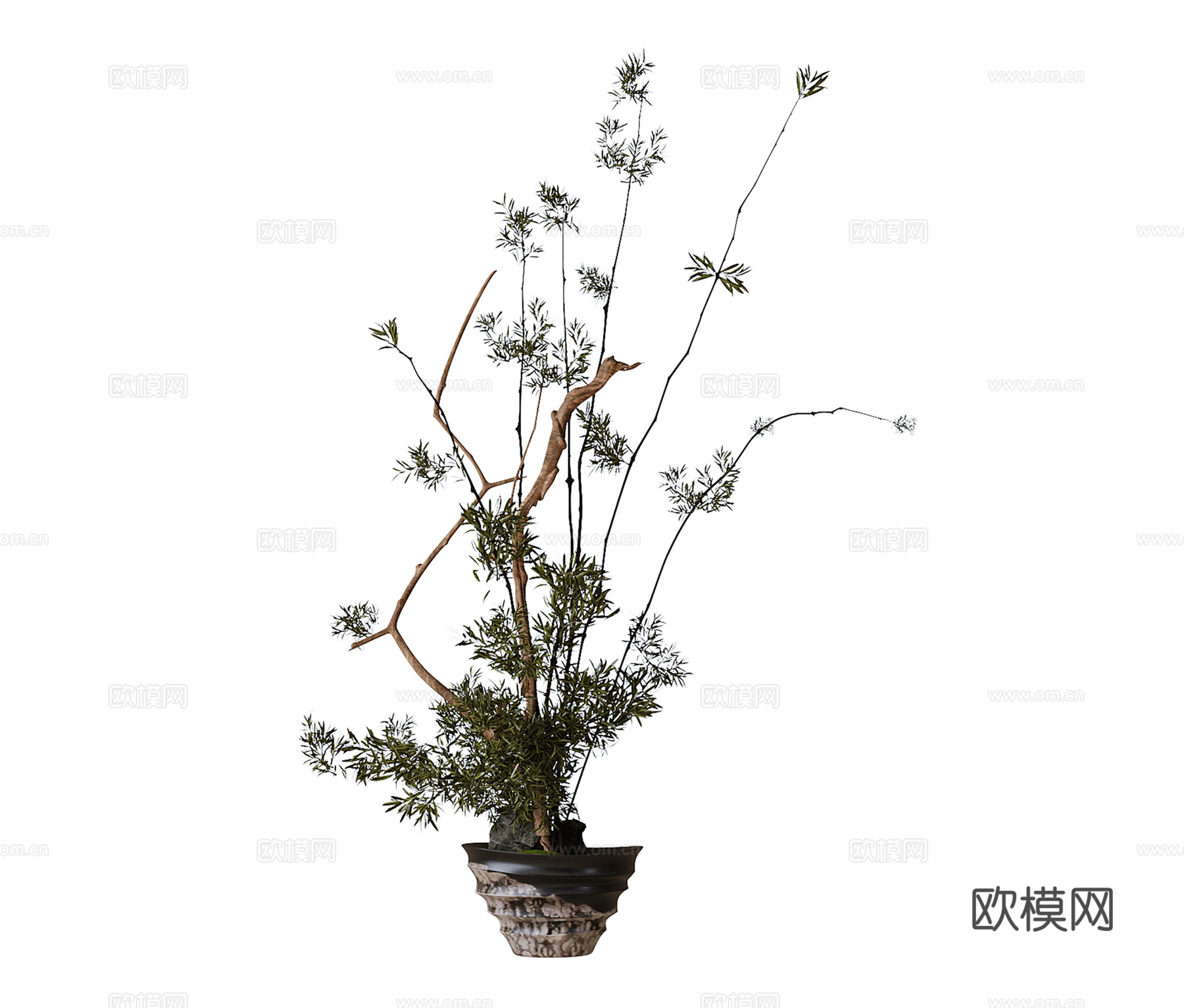 现代盆栽 绿植su模型