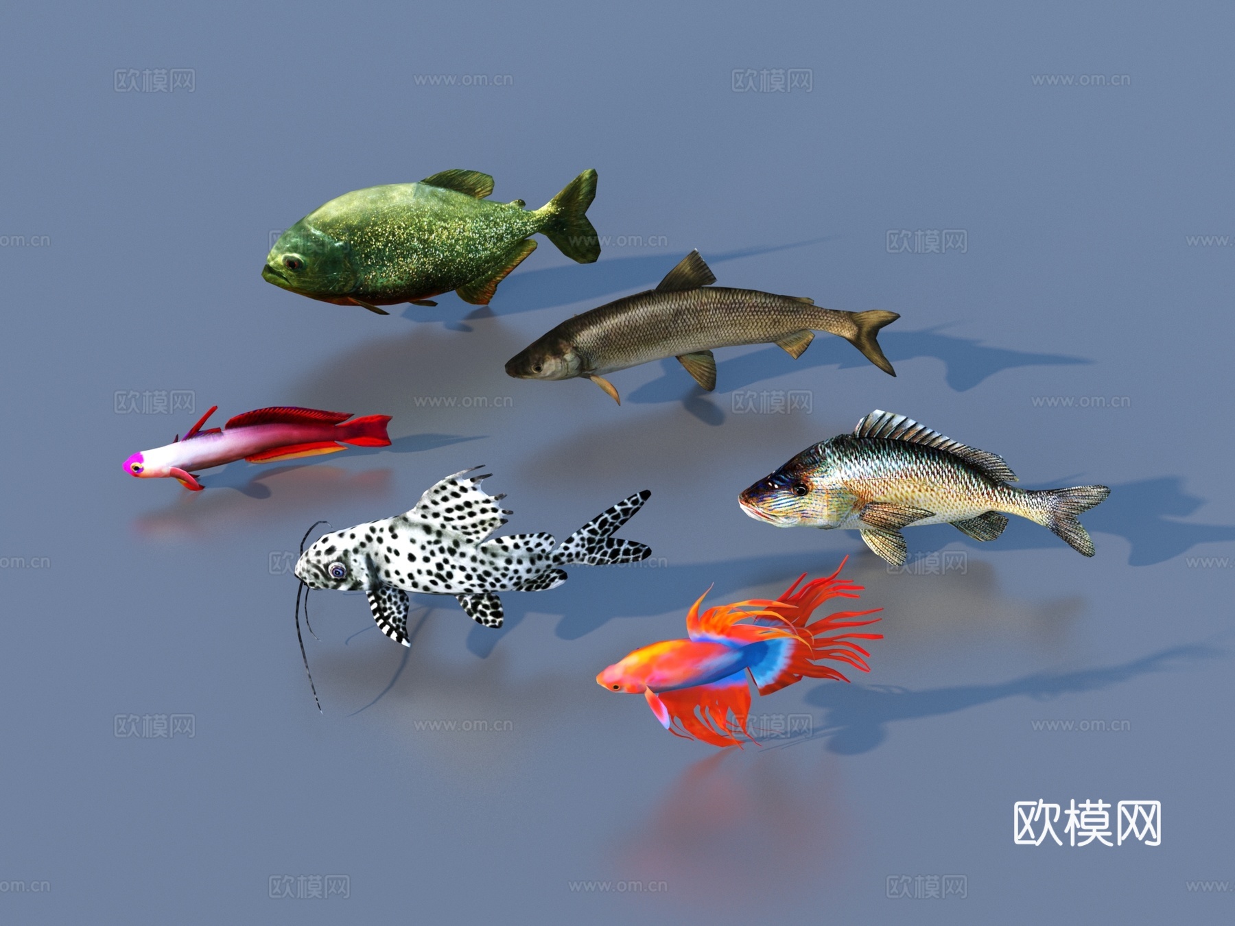 鱼 淡水鱼 海鱼 动物 游戏动物3d模型