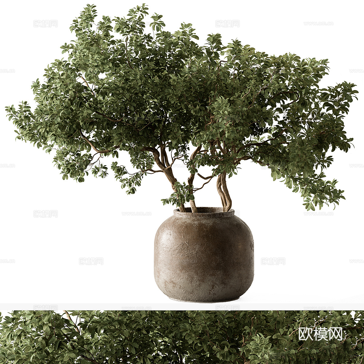 新中式花瓶花艺3d模型