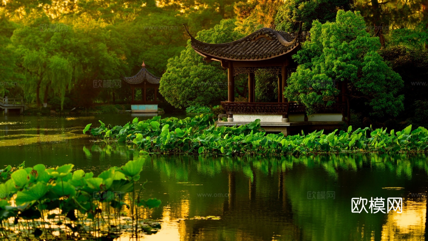 公园风景