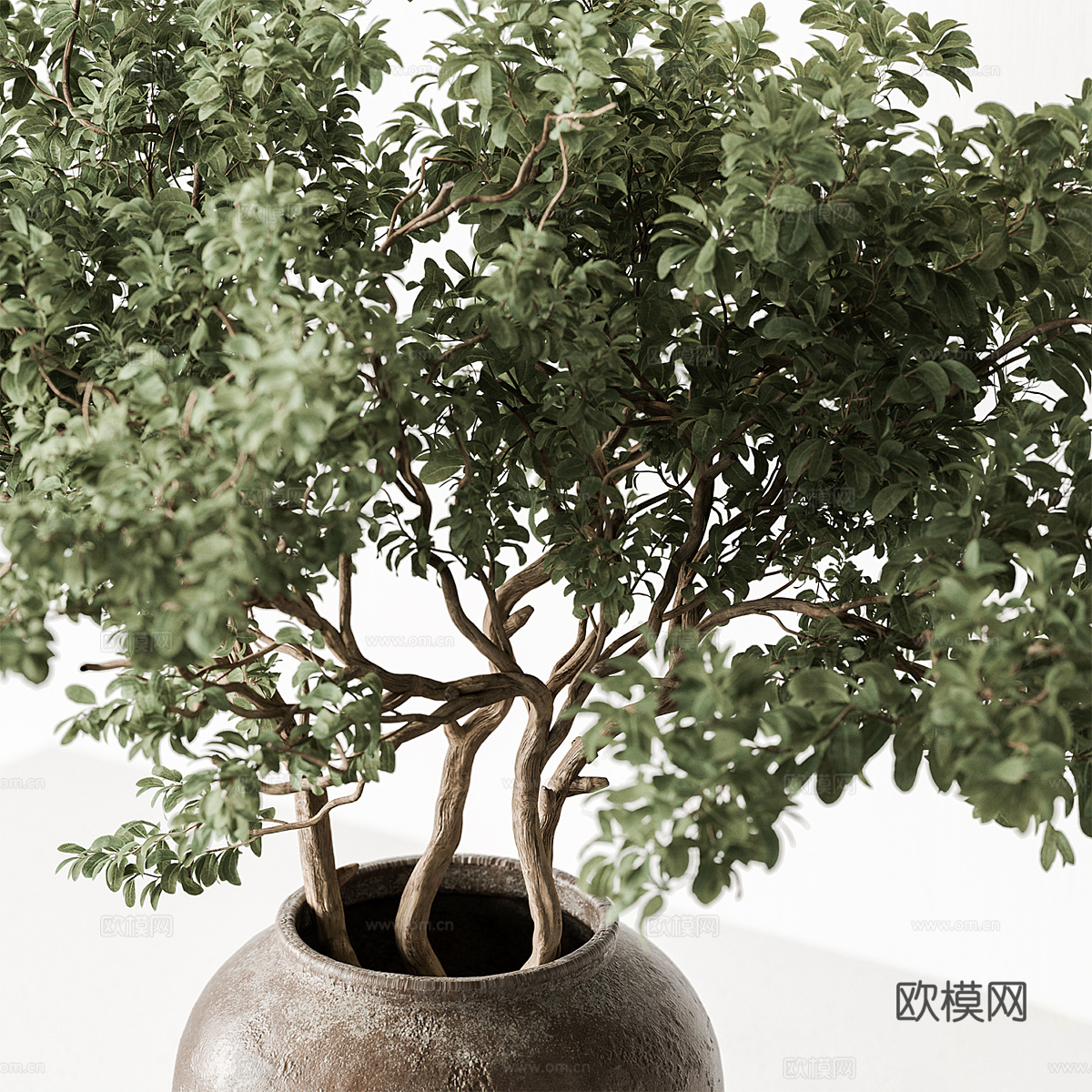 新中式花瓶花艺3d模型