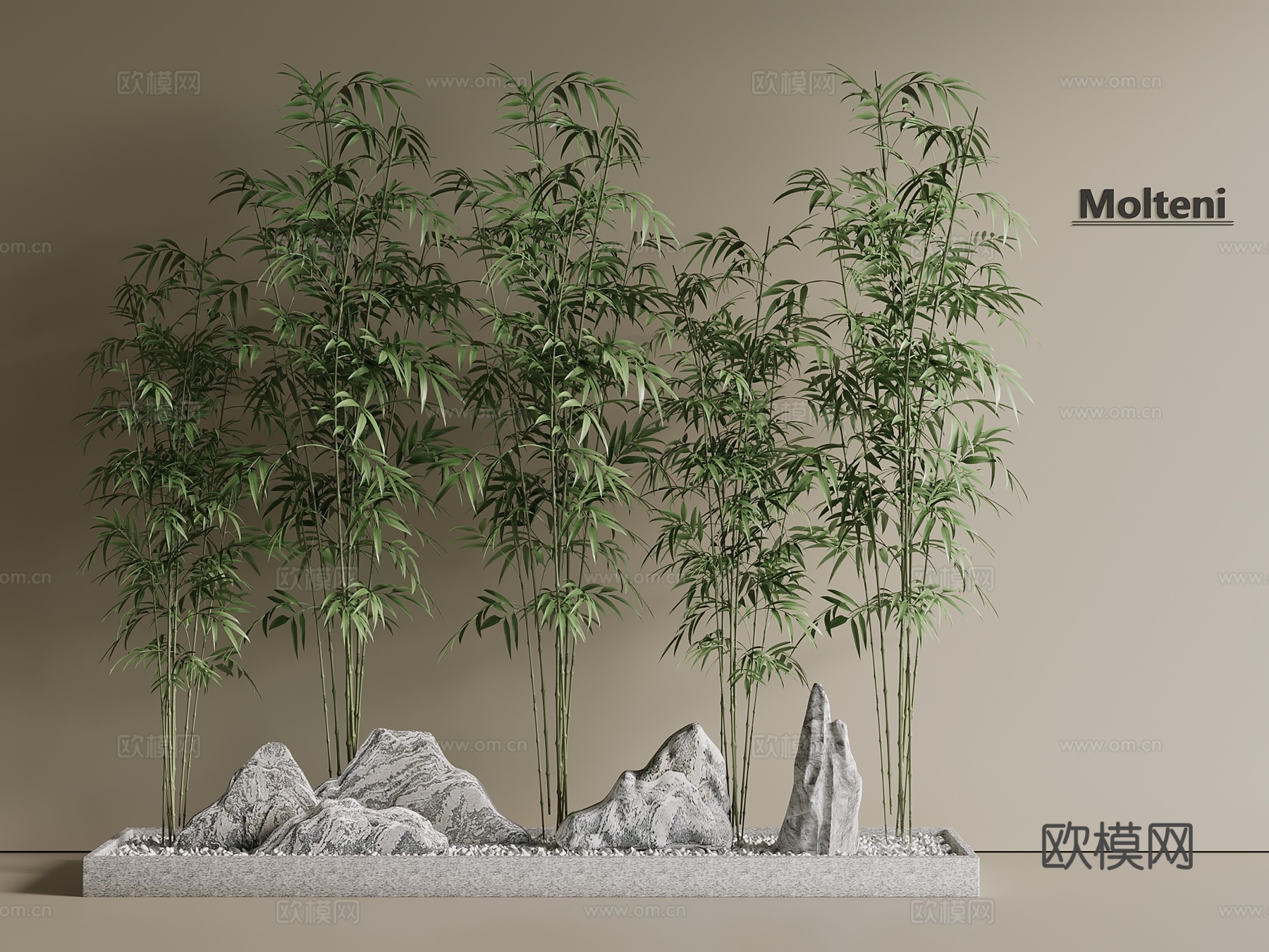 竹子 竹林 景观林3d模型