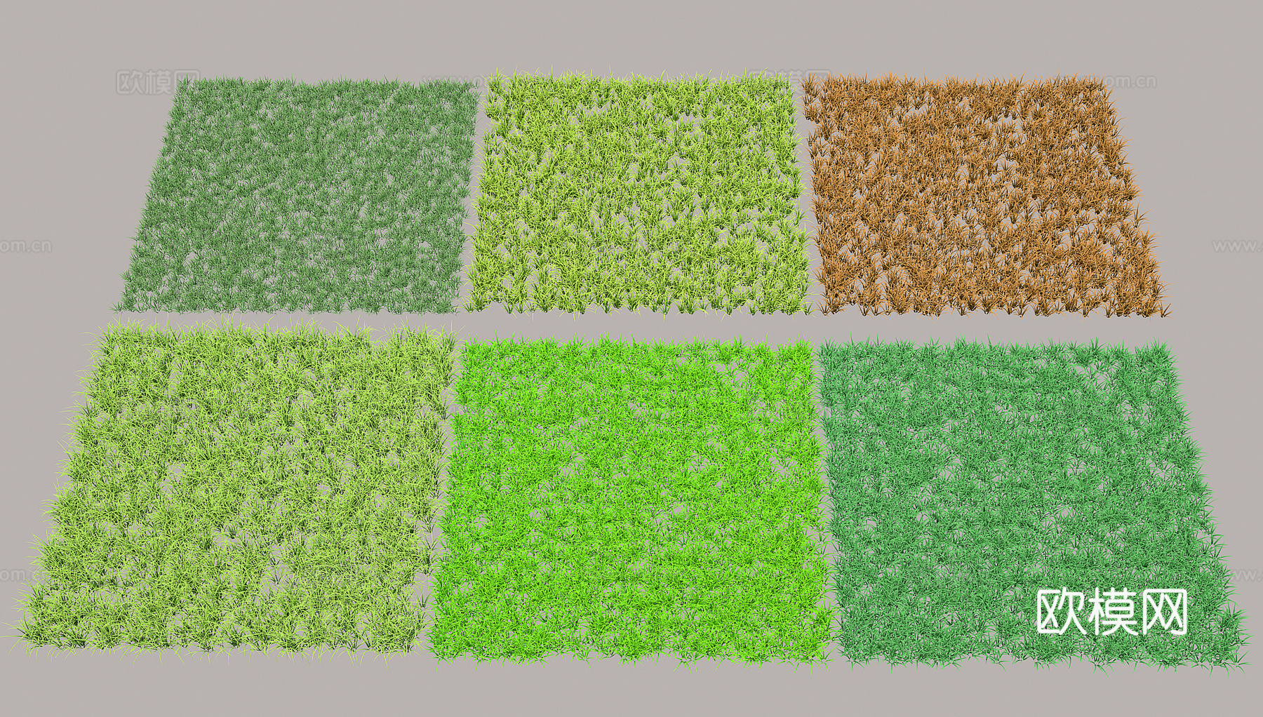 草地3d模型