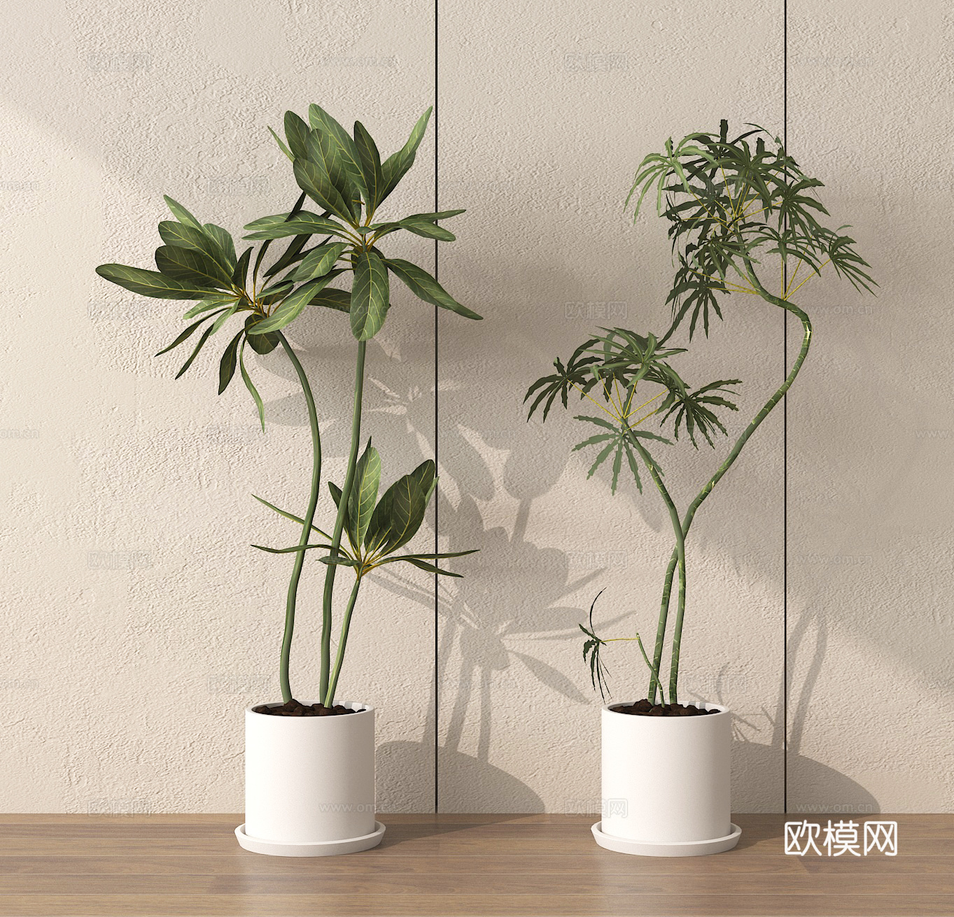 盆栽 绿植 盆景 植物3d模型
