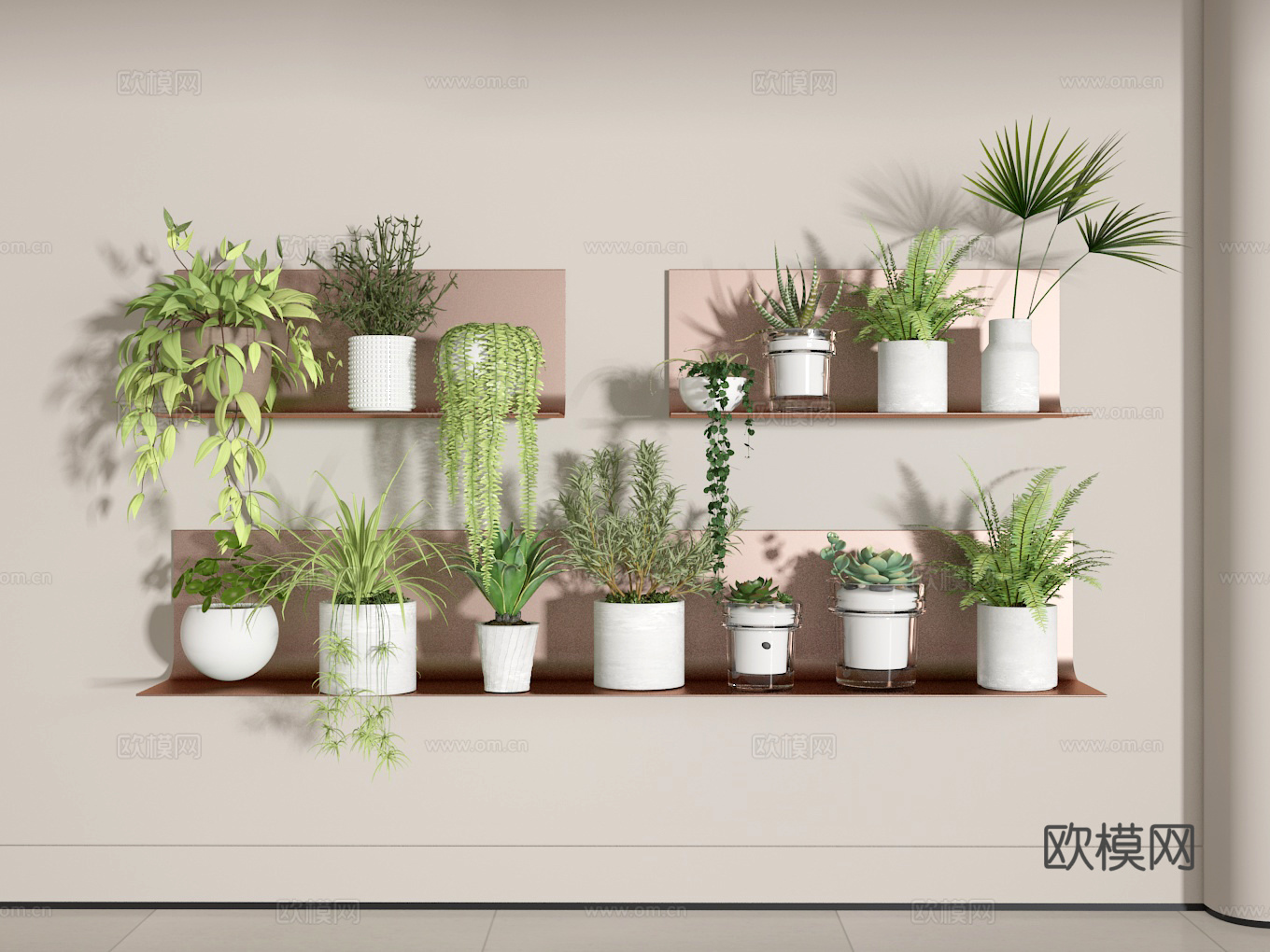 植物3d模型