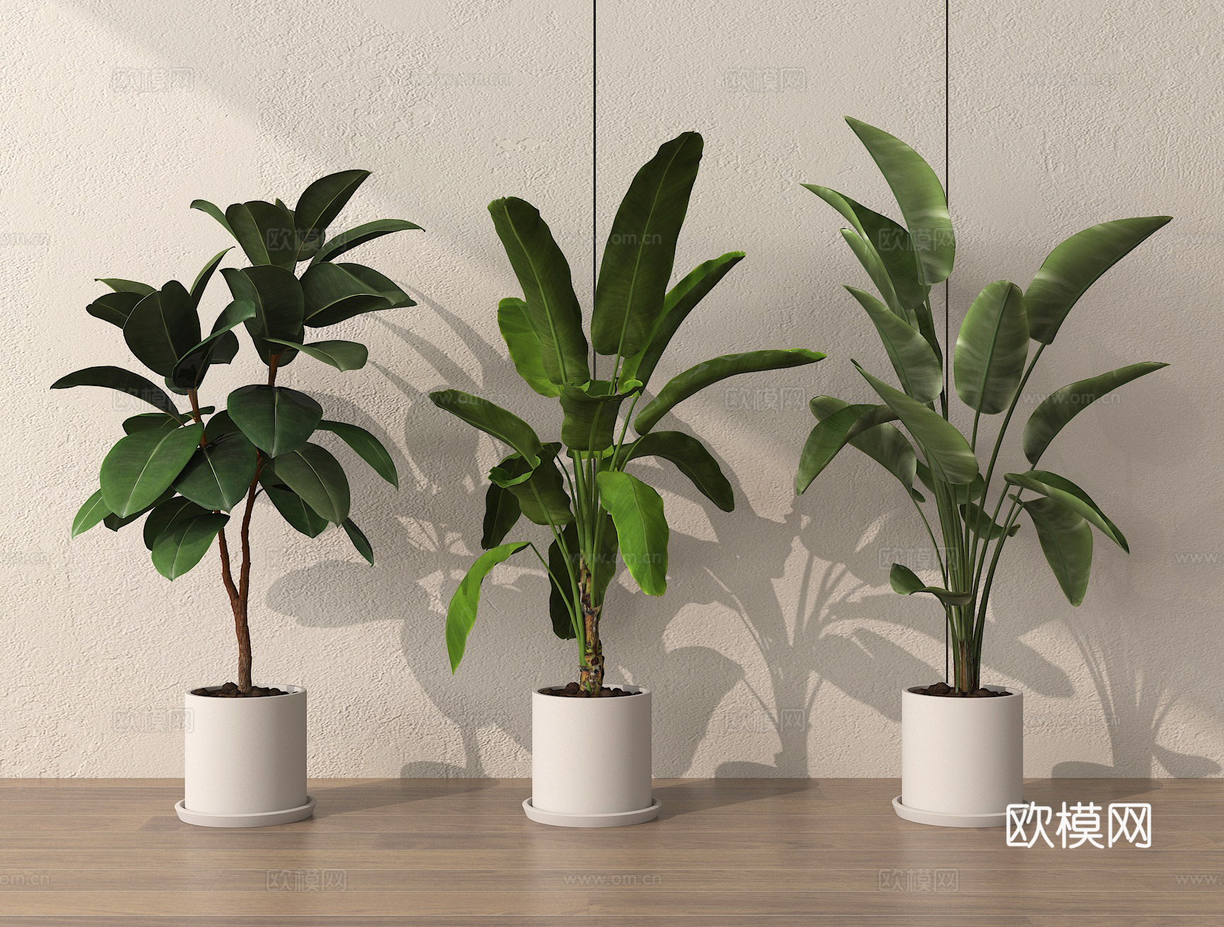 盆栽 盆景 绿植 植物3d模型