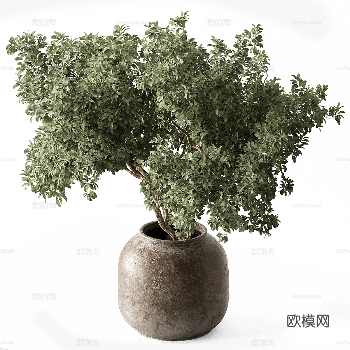 新中式花瓶花艺3d模型