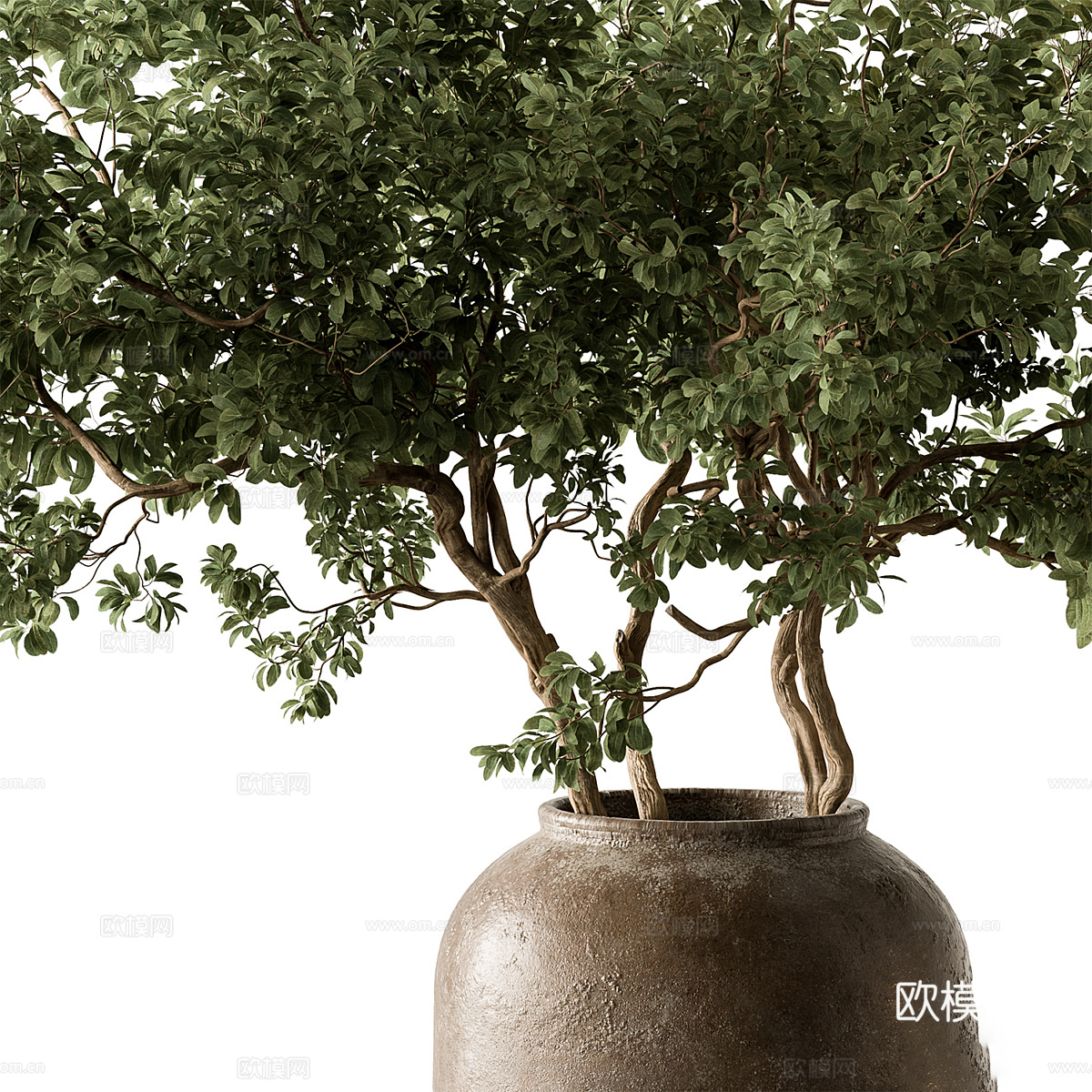 新中式花瓶花艺3d模型