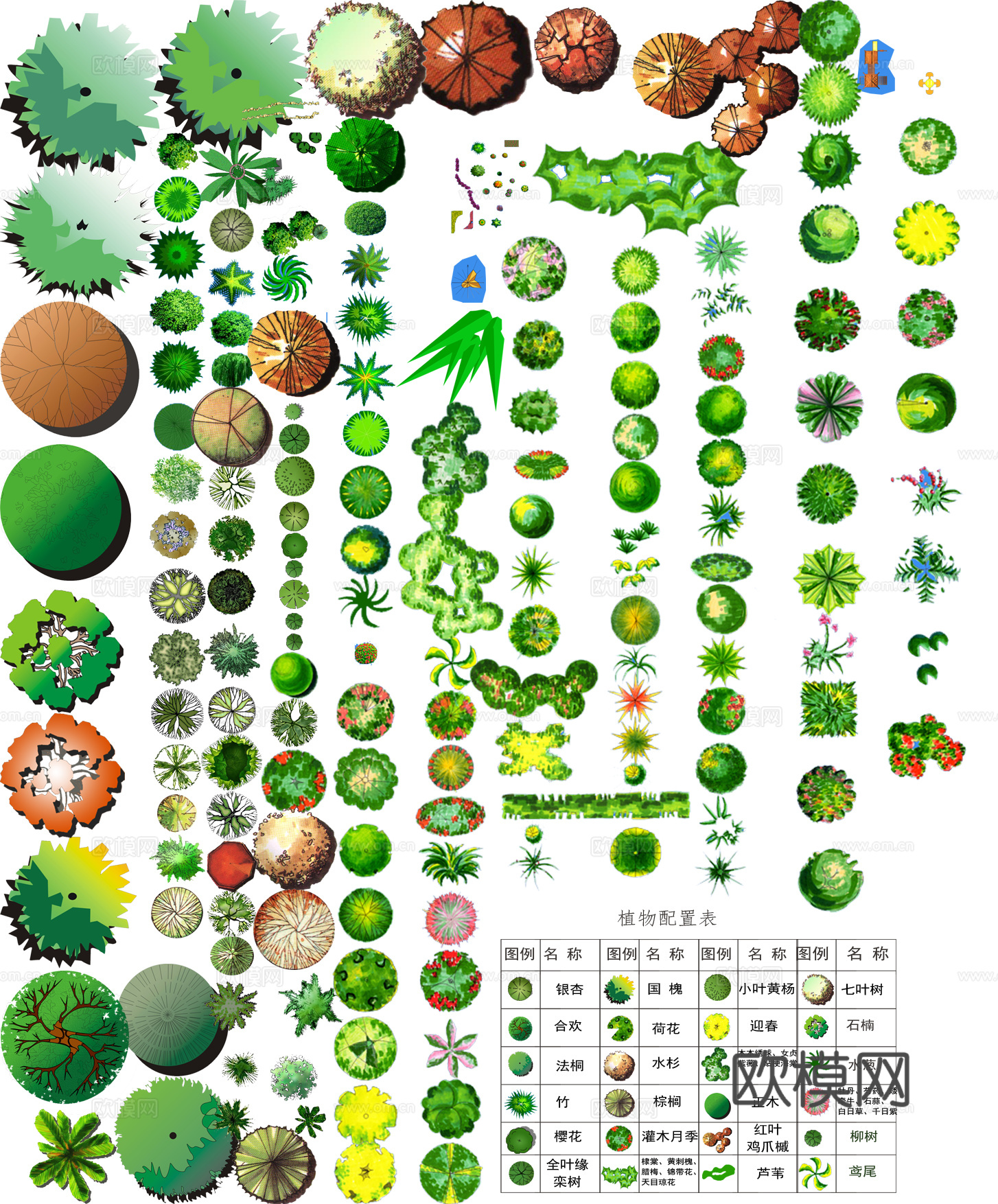 免抠彩平植物素材