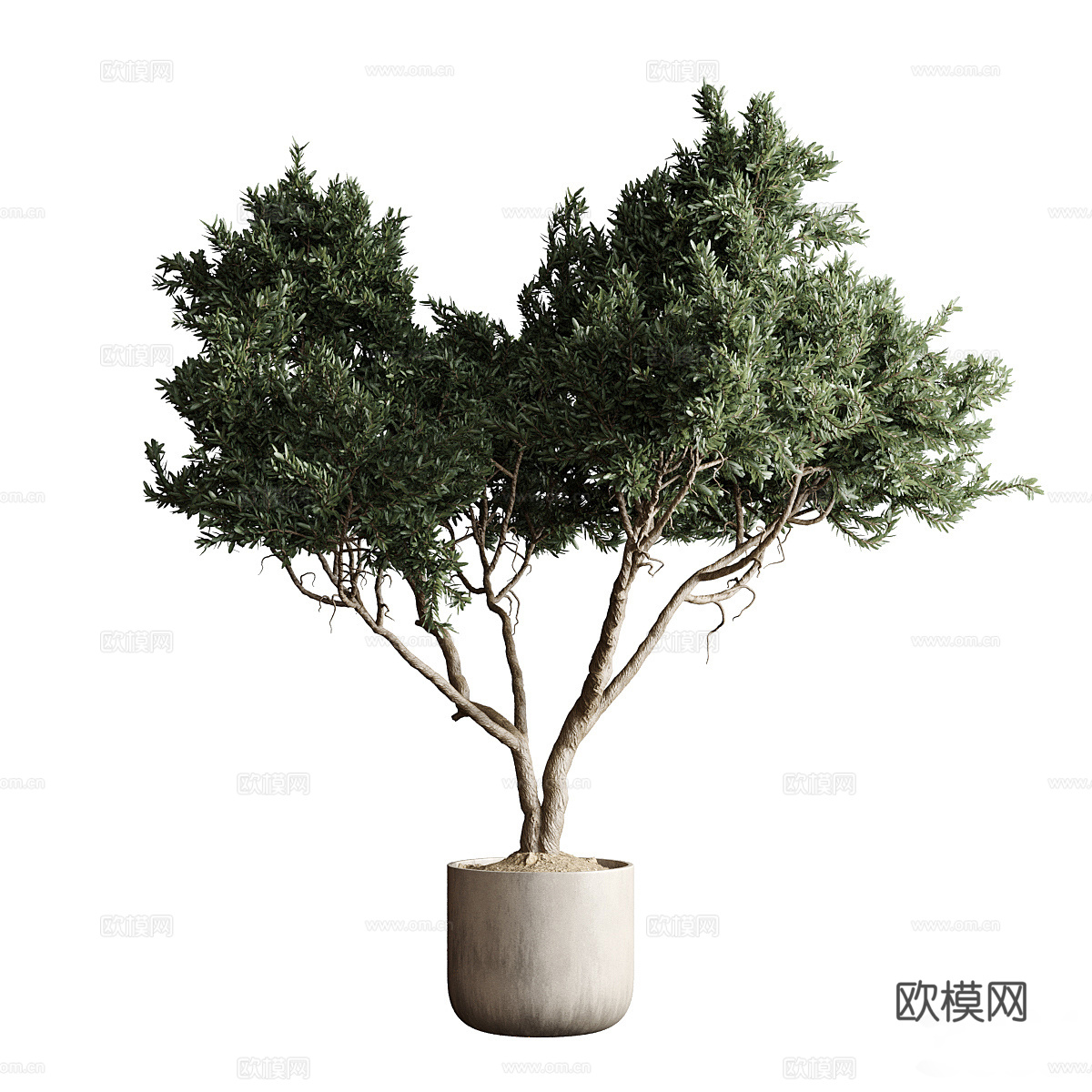 新中式侘寂绿植盆栽3d模型