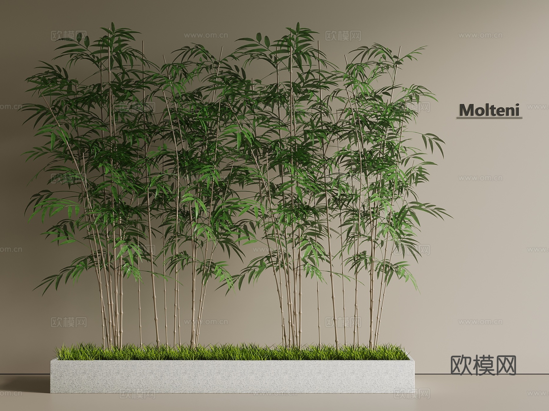 竹子 竹林 景观林3d模型