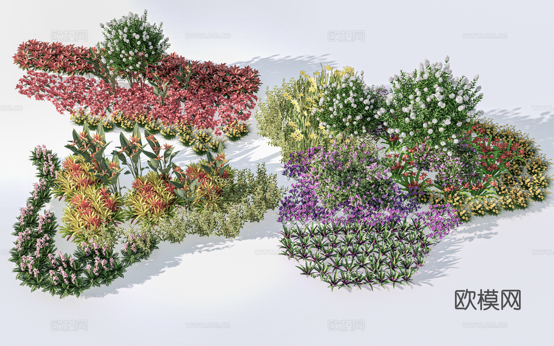现代植物花卉 绿植 灌木 花丛 花镜su模型