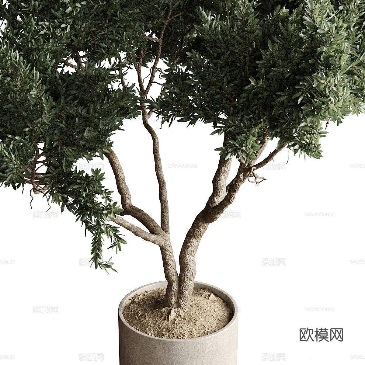 新中式侘寂绿植盆栽3d模型