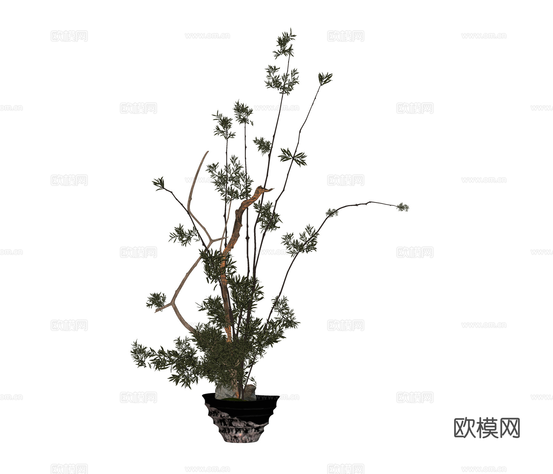现代盆栽 绿植su模型