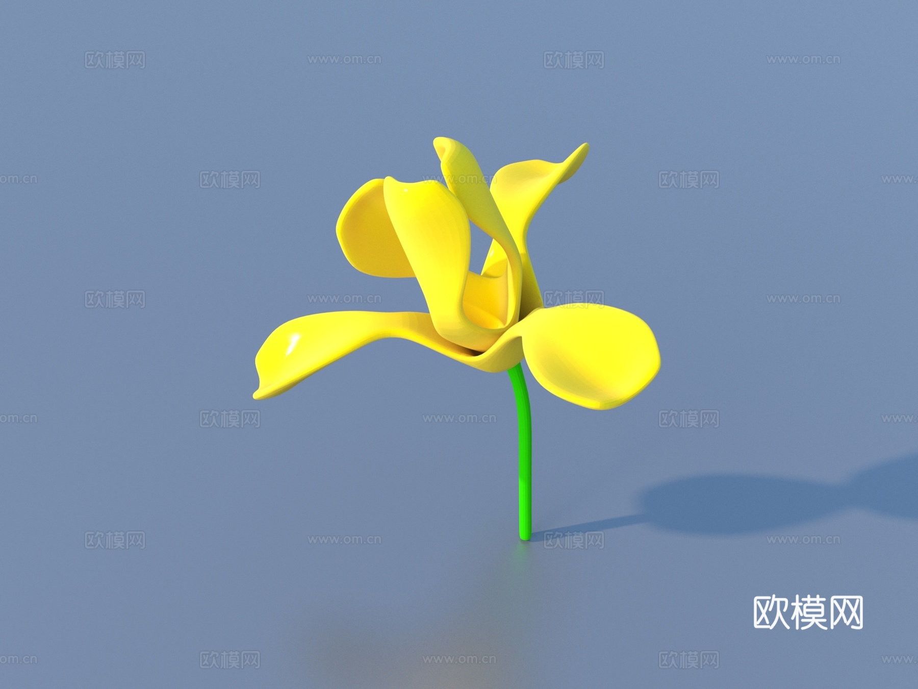 花 卡通花 野花 绿植 花朵3d模型