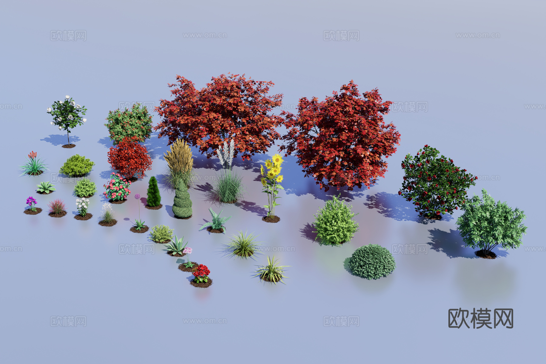 园艺植物3d模型
