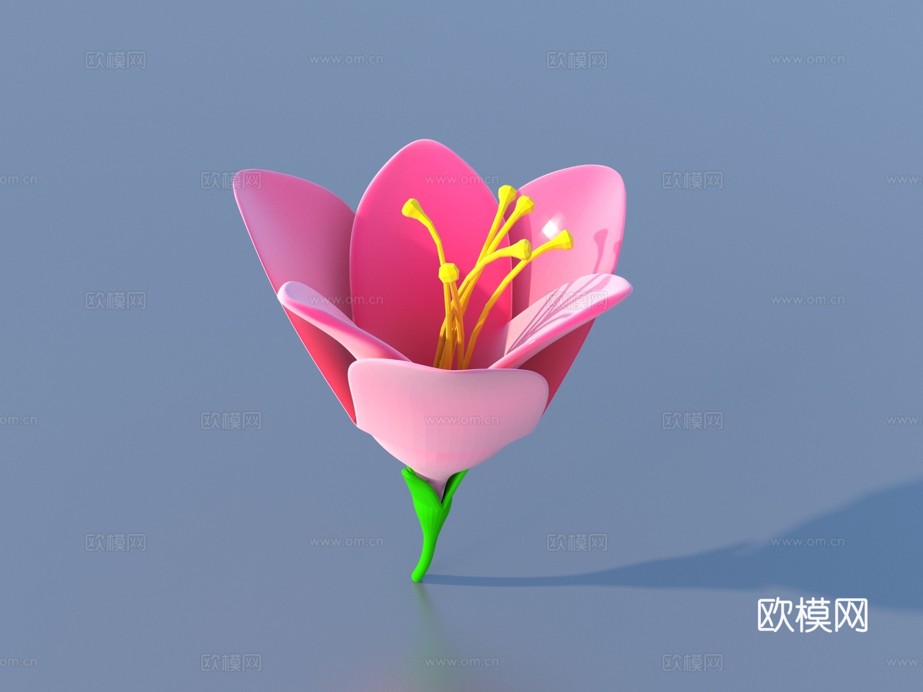 花 卡通花 野花 绿植 花朵3d模型